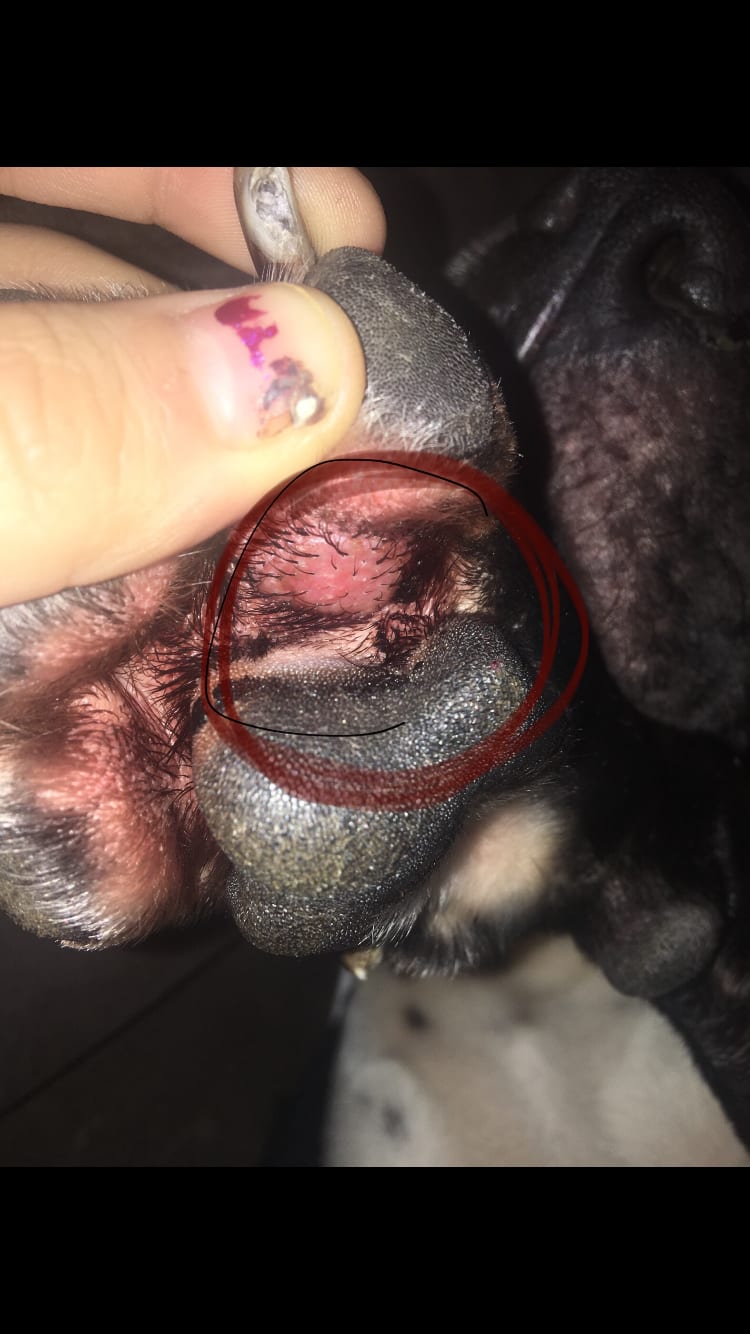 Question details sensitive content