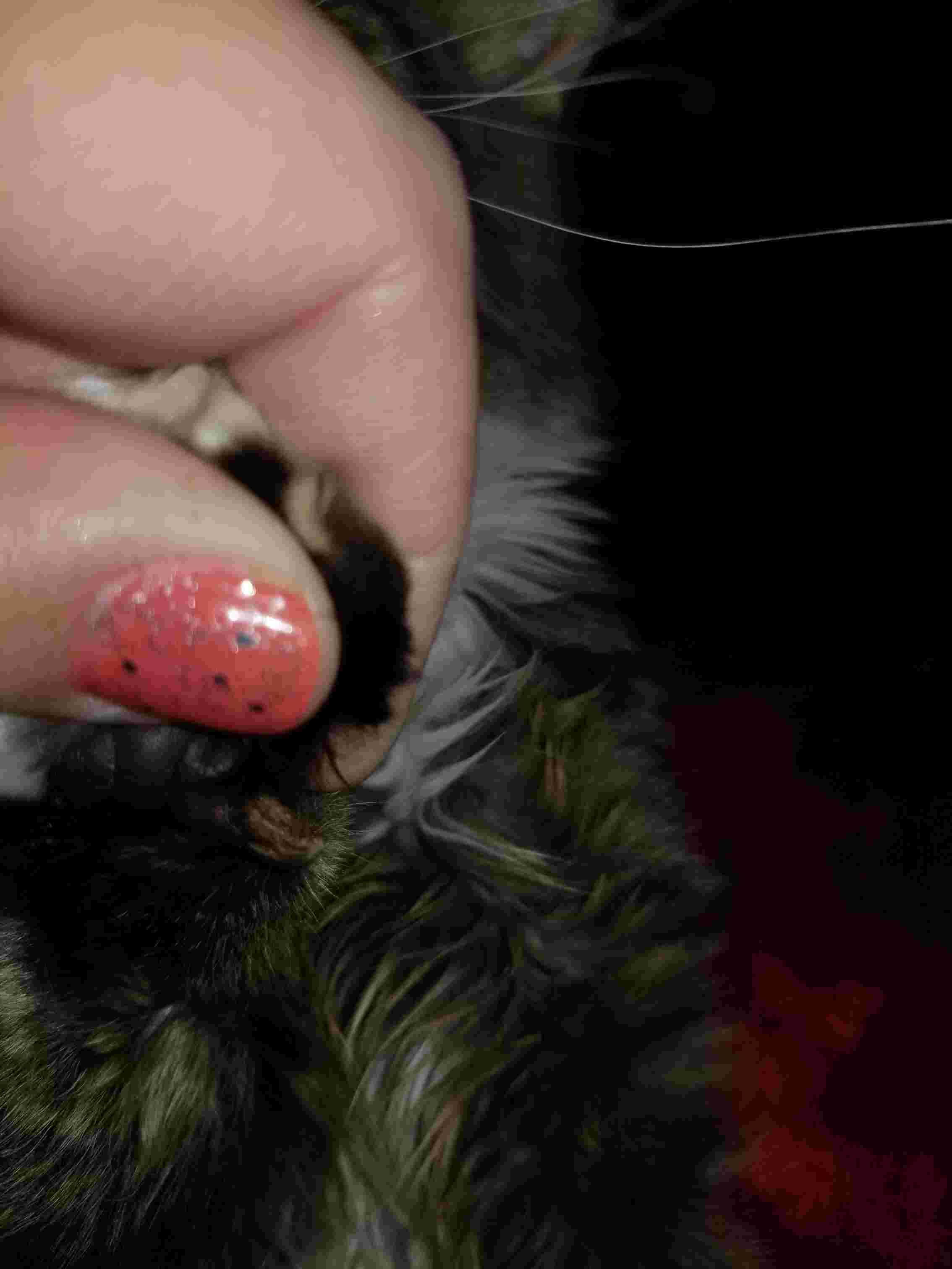 Question details sensitive content