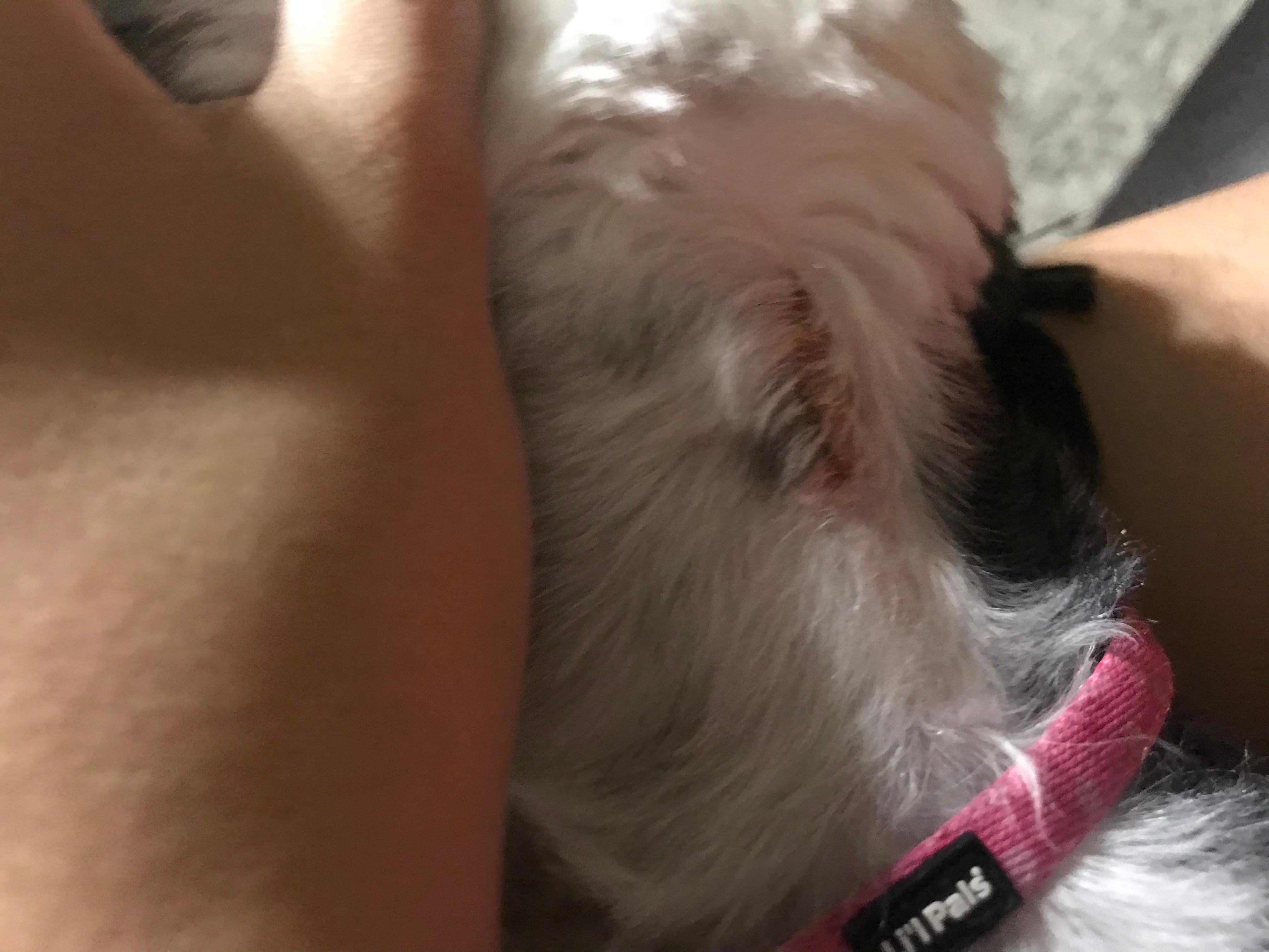 Question details sensitive content