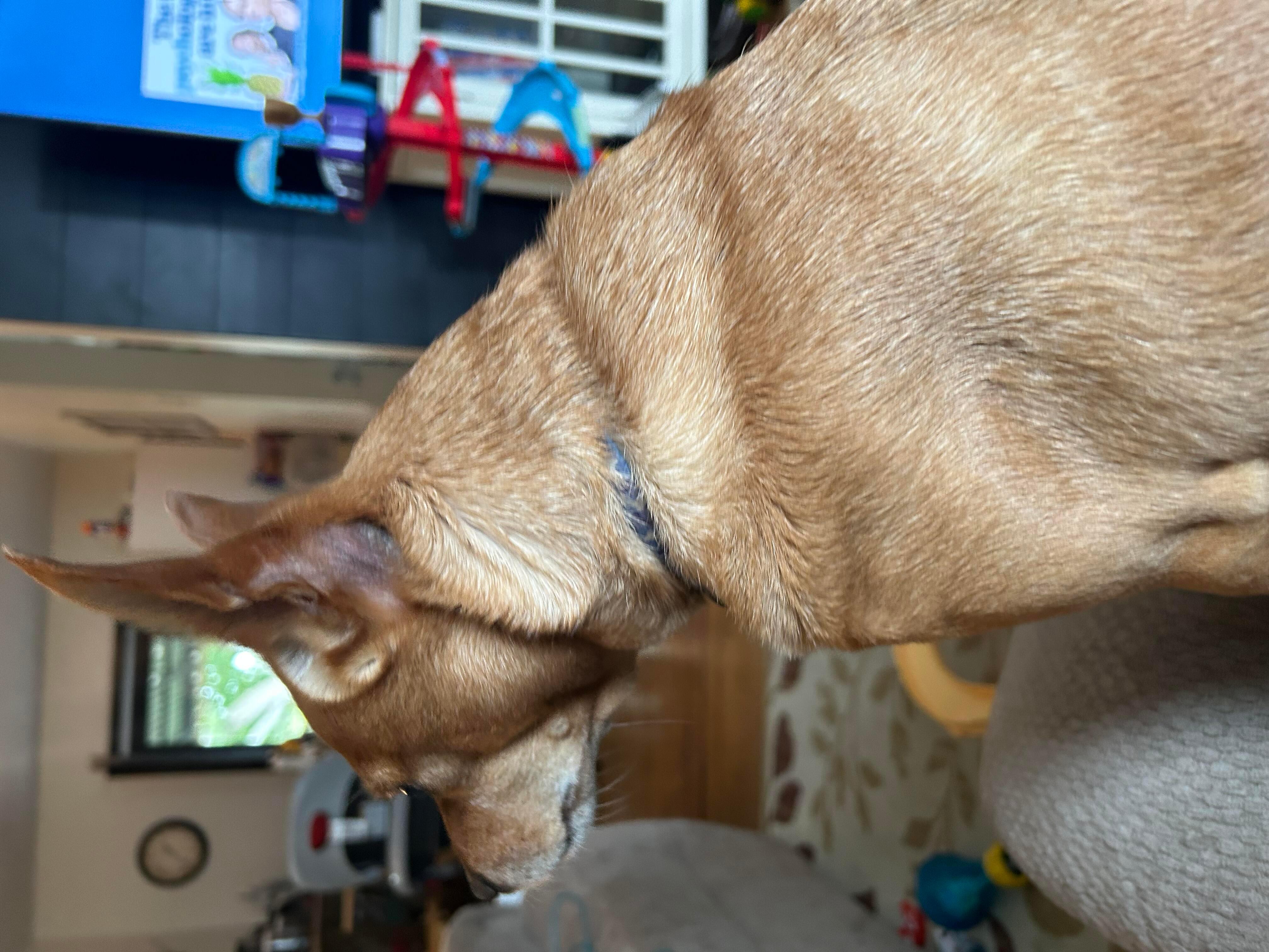 Question details sensitive content