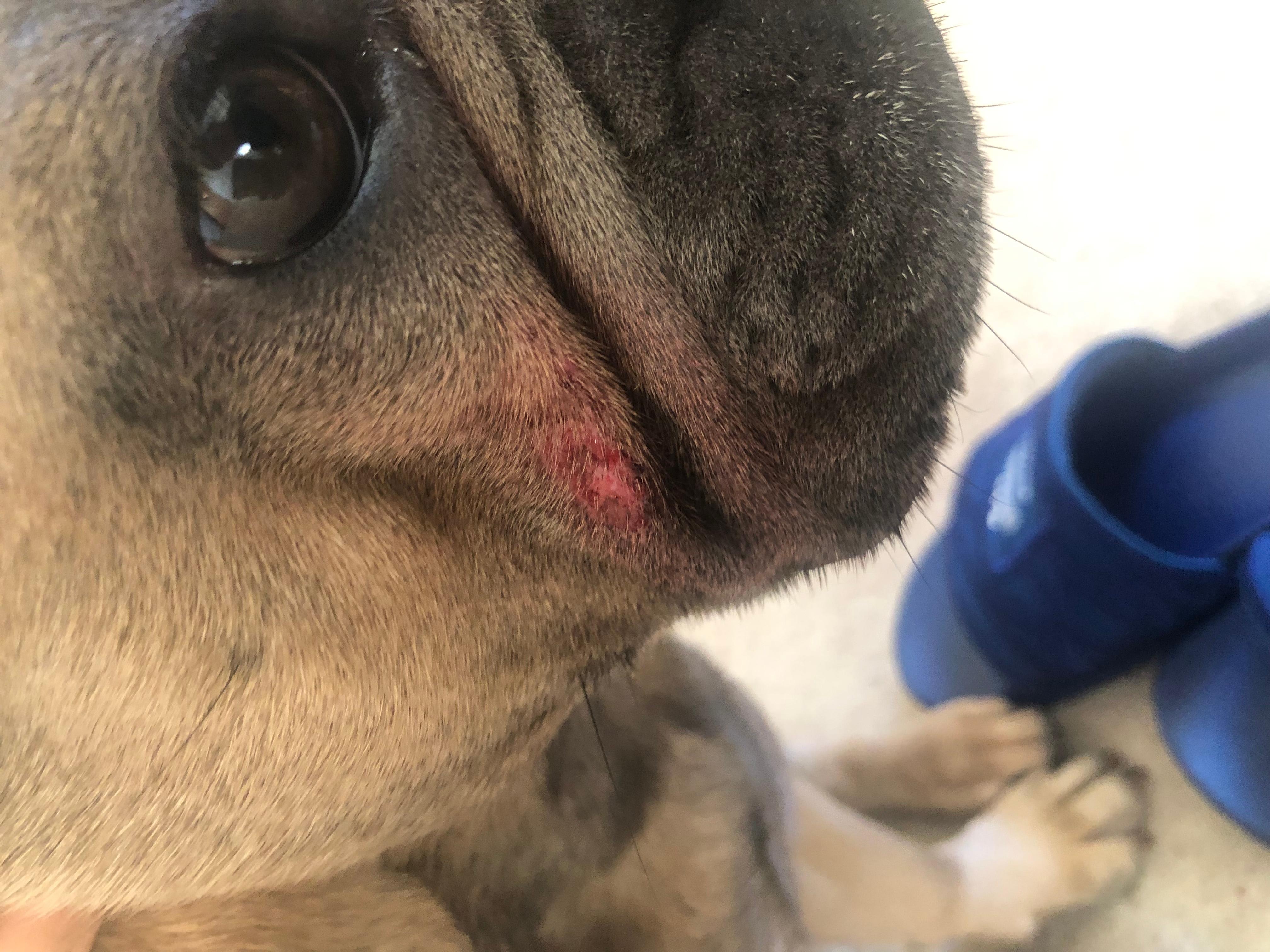 Question details sensitive content