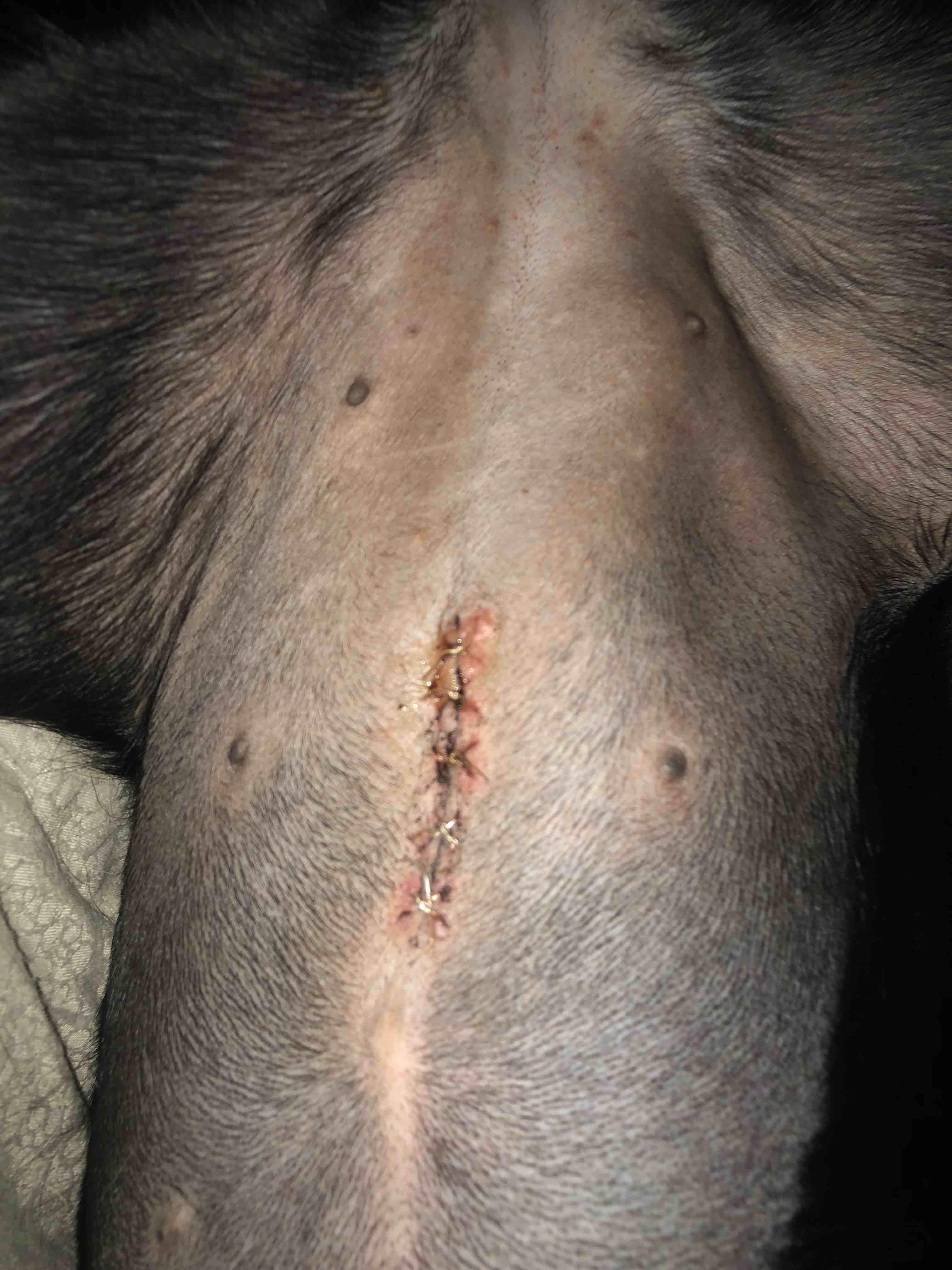 Question details sensitive content