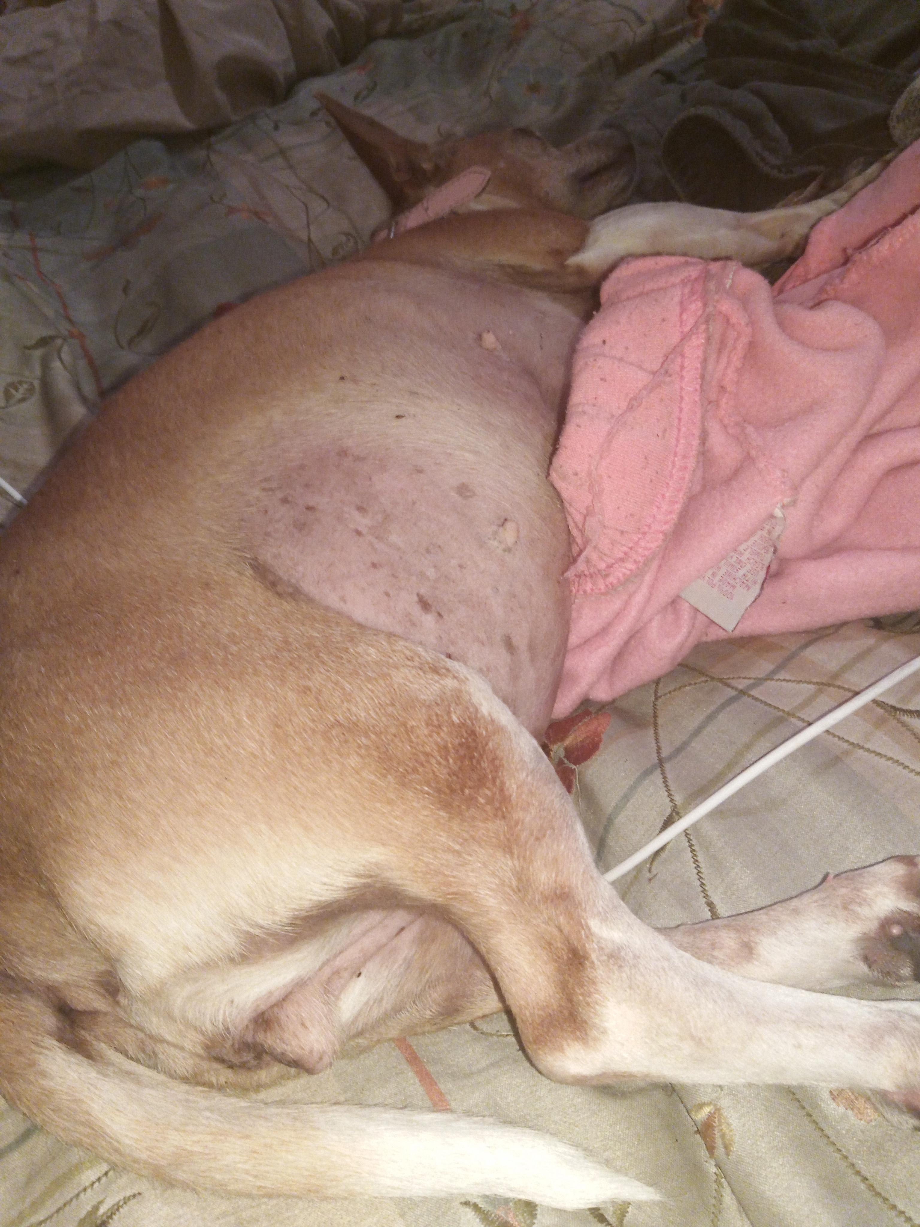 Question details sensitive content