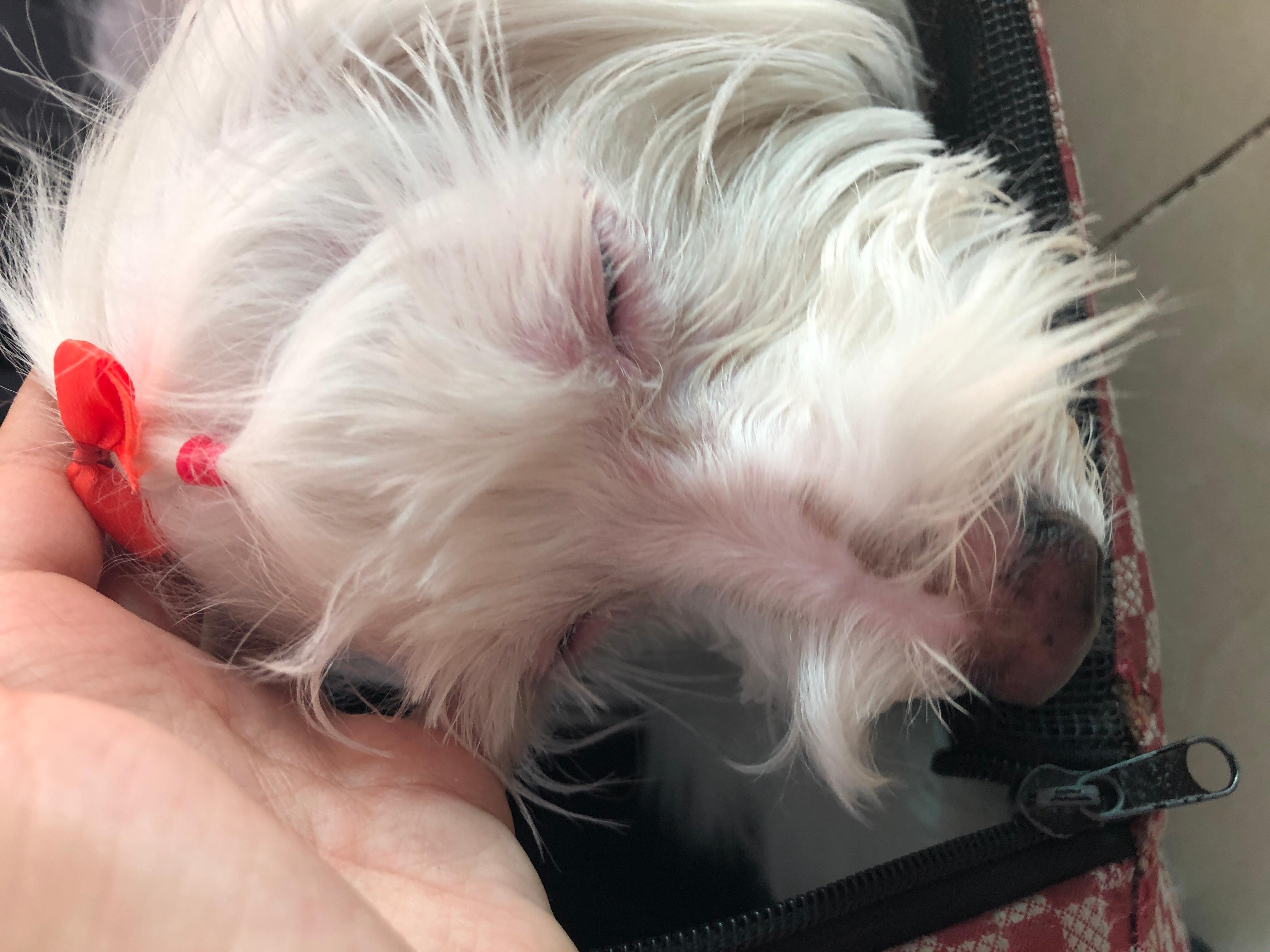 Question details sensitive content