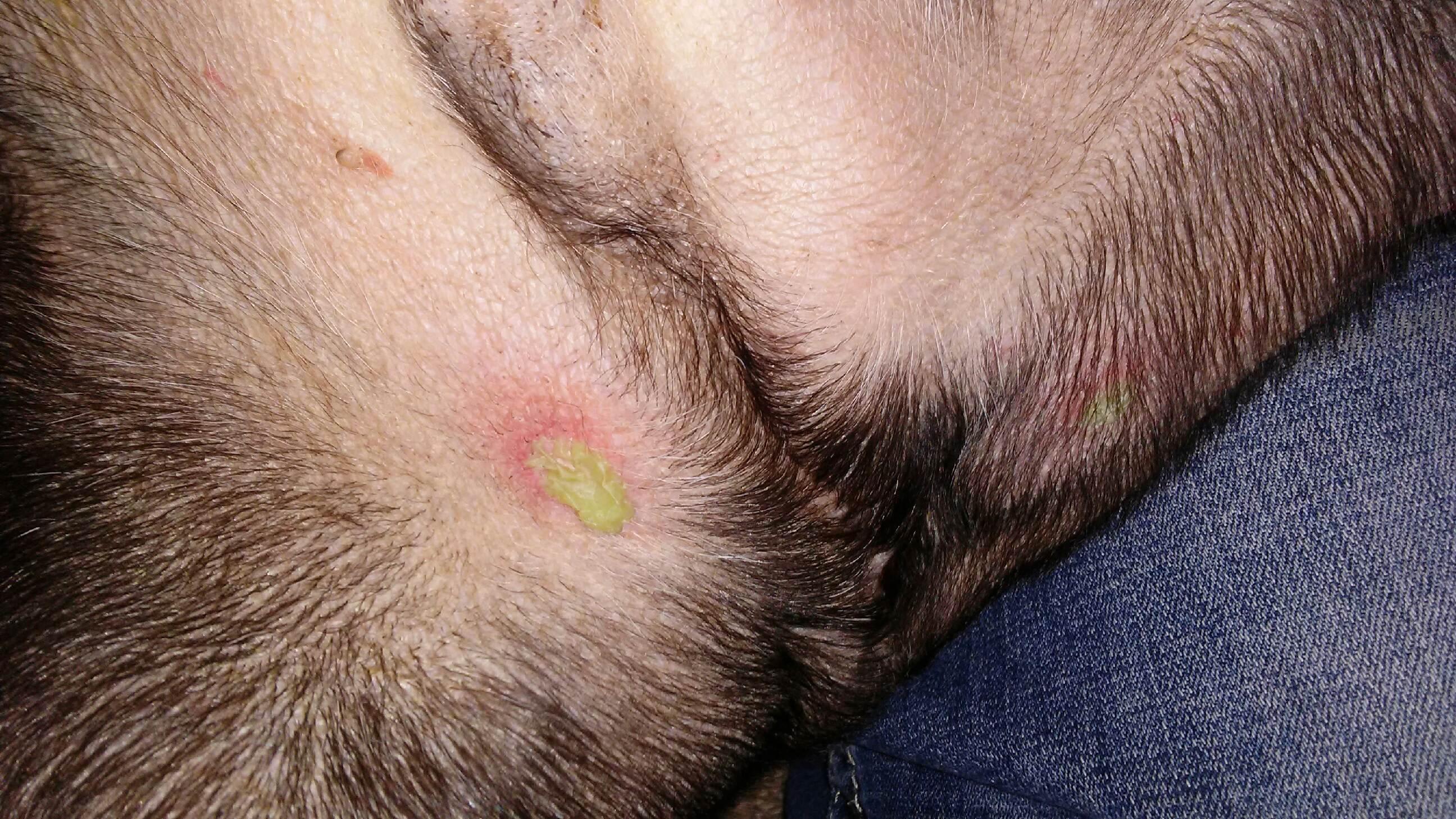 Question details sensitive content