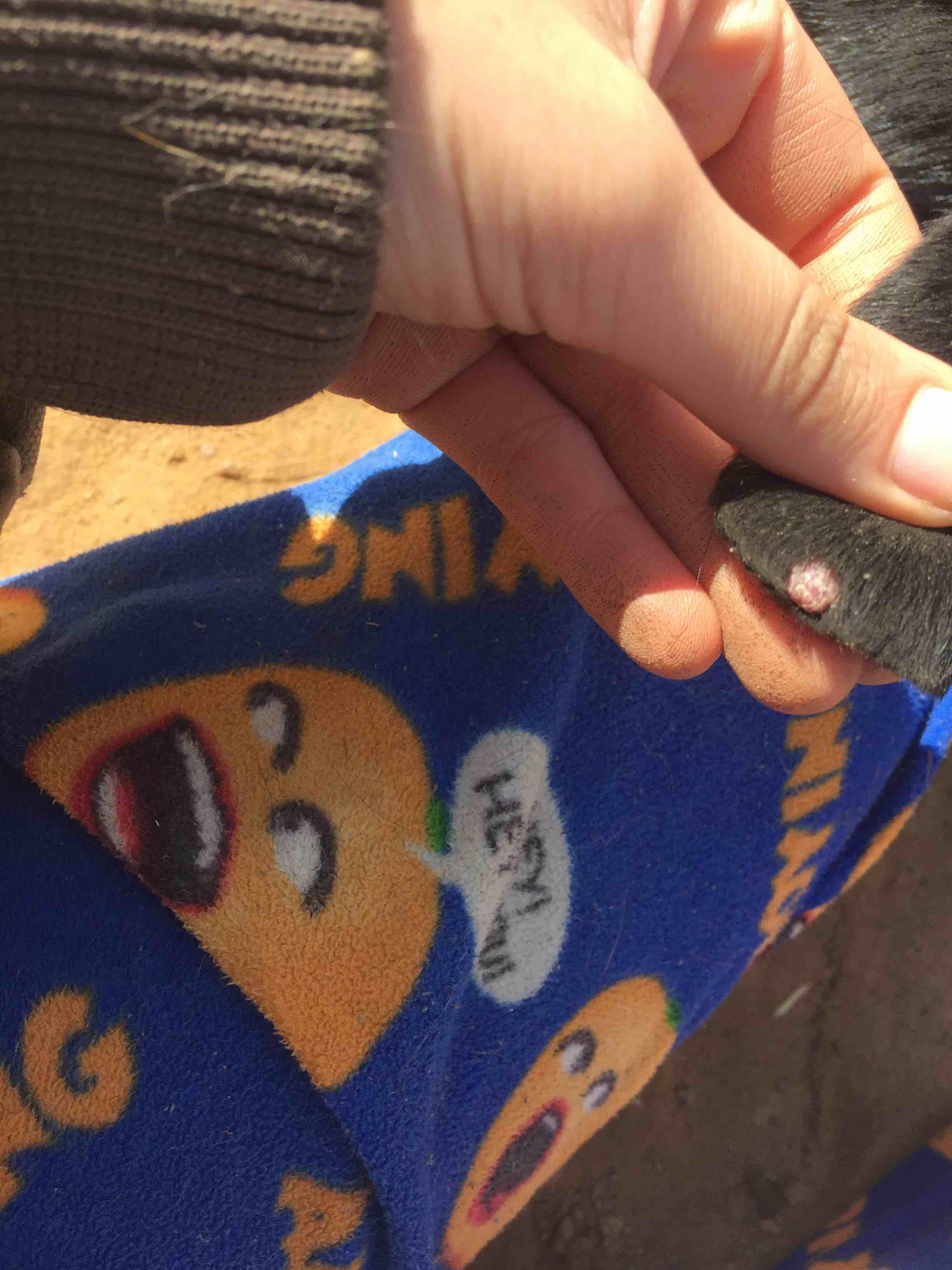 Question details sensitive content