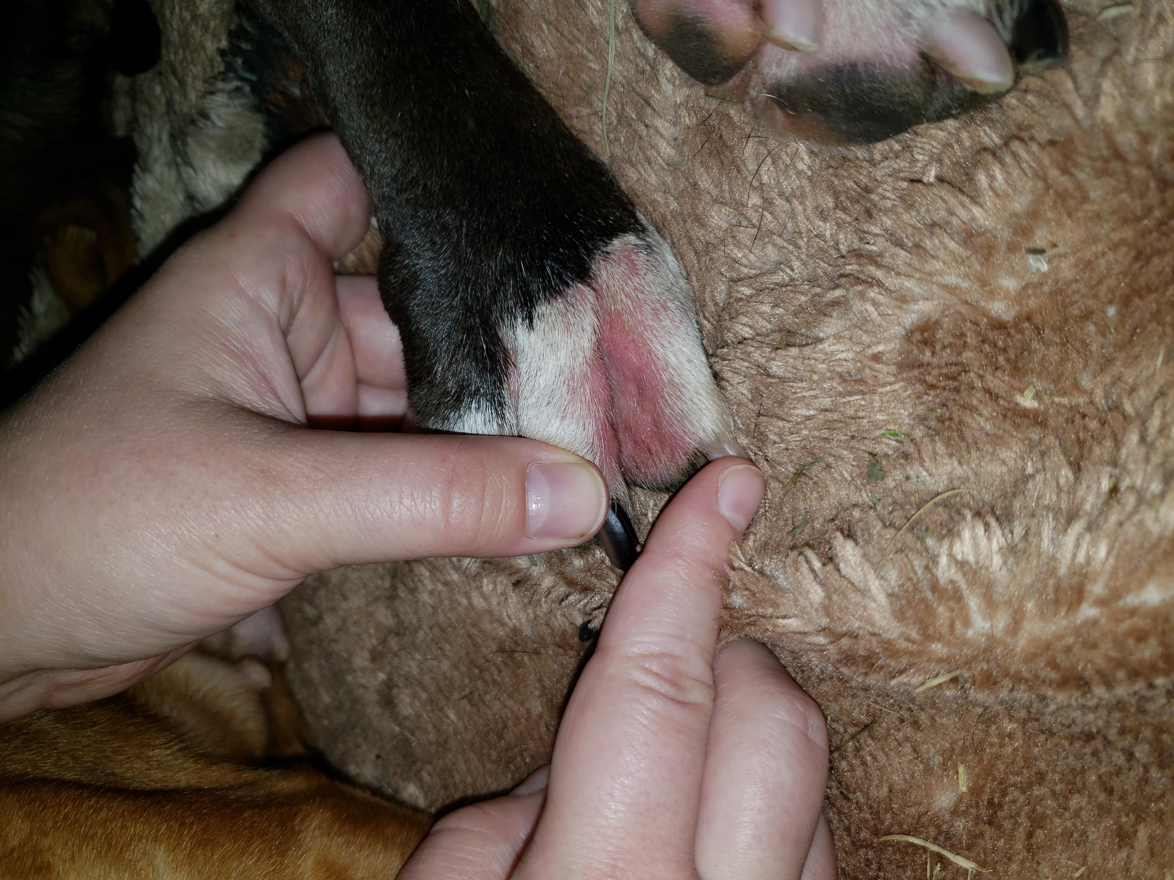 Question details sensitive content