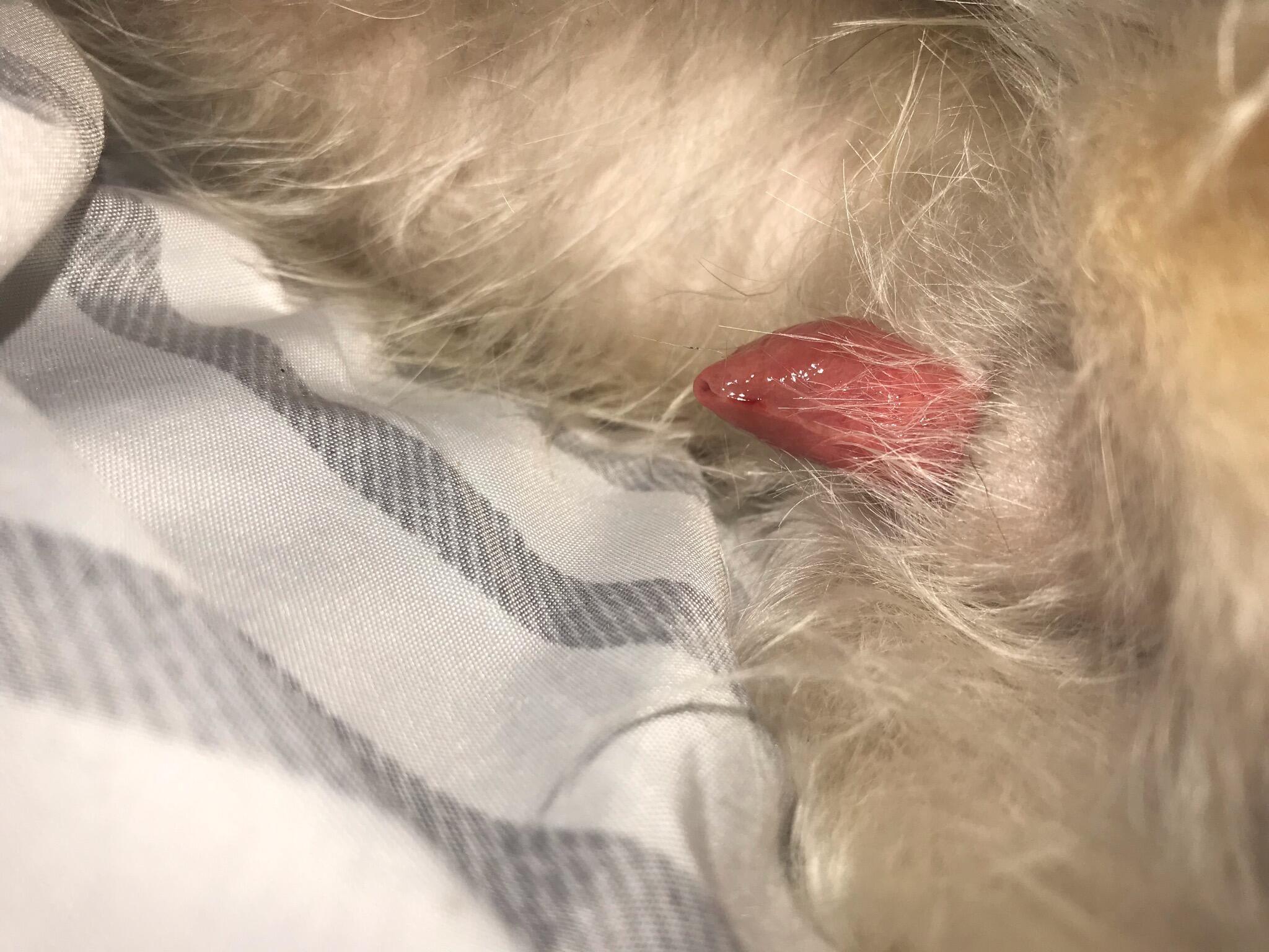 Question details sensitive content