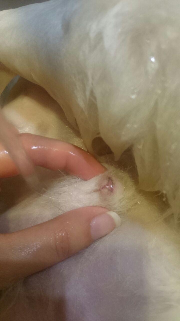 Question details sensitive content