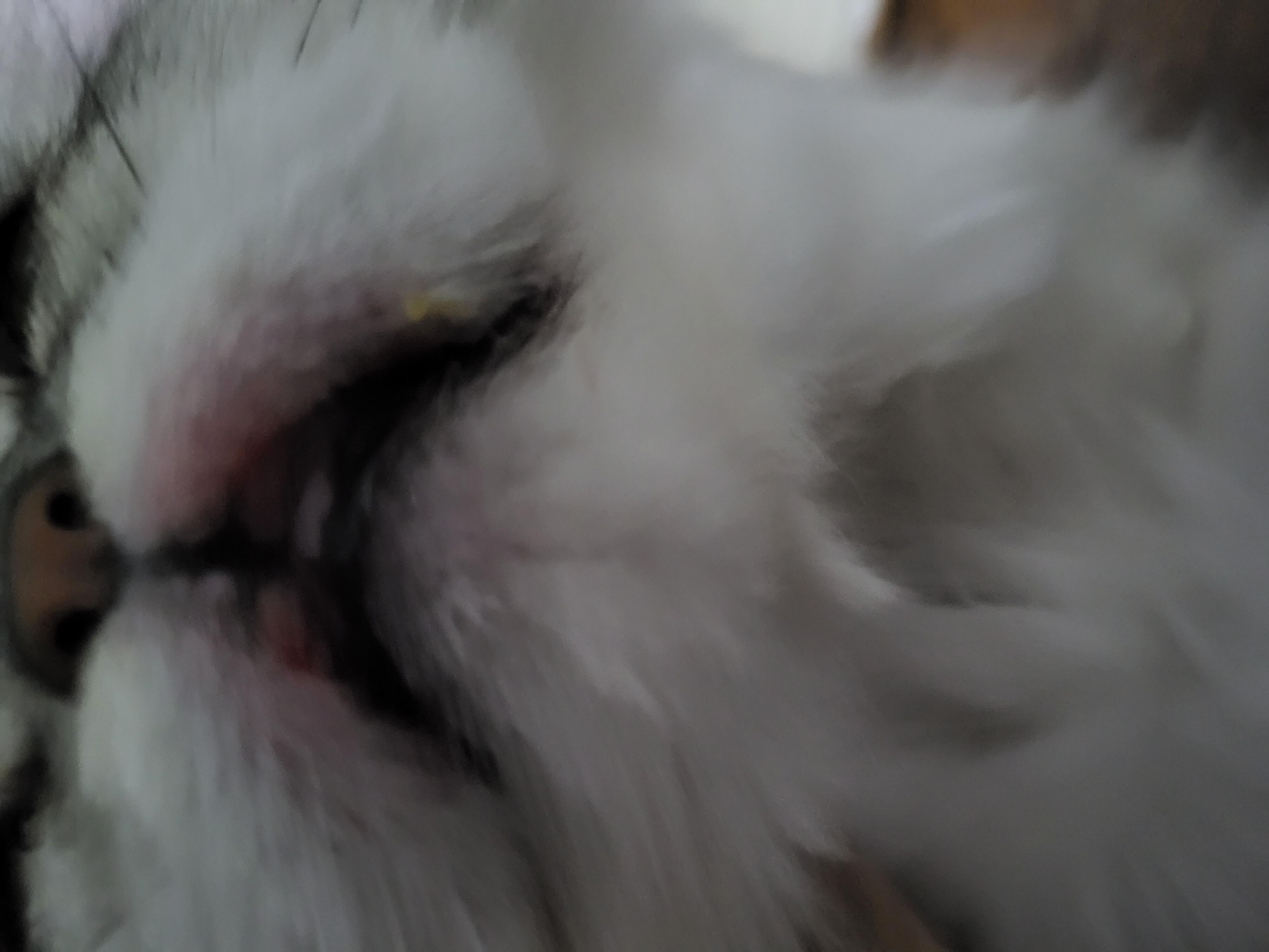 Question details sensitive content