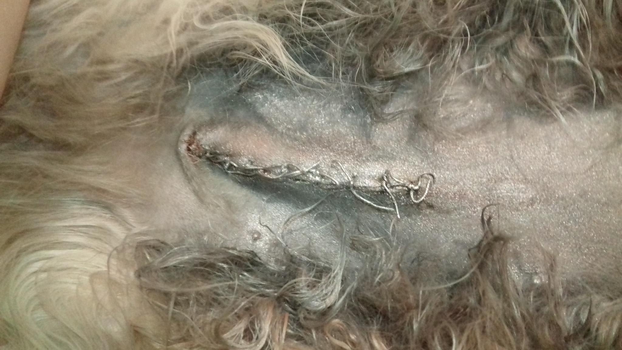 Question details sensitive content