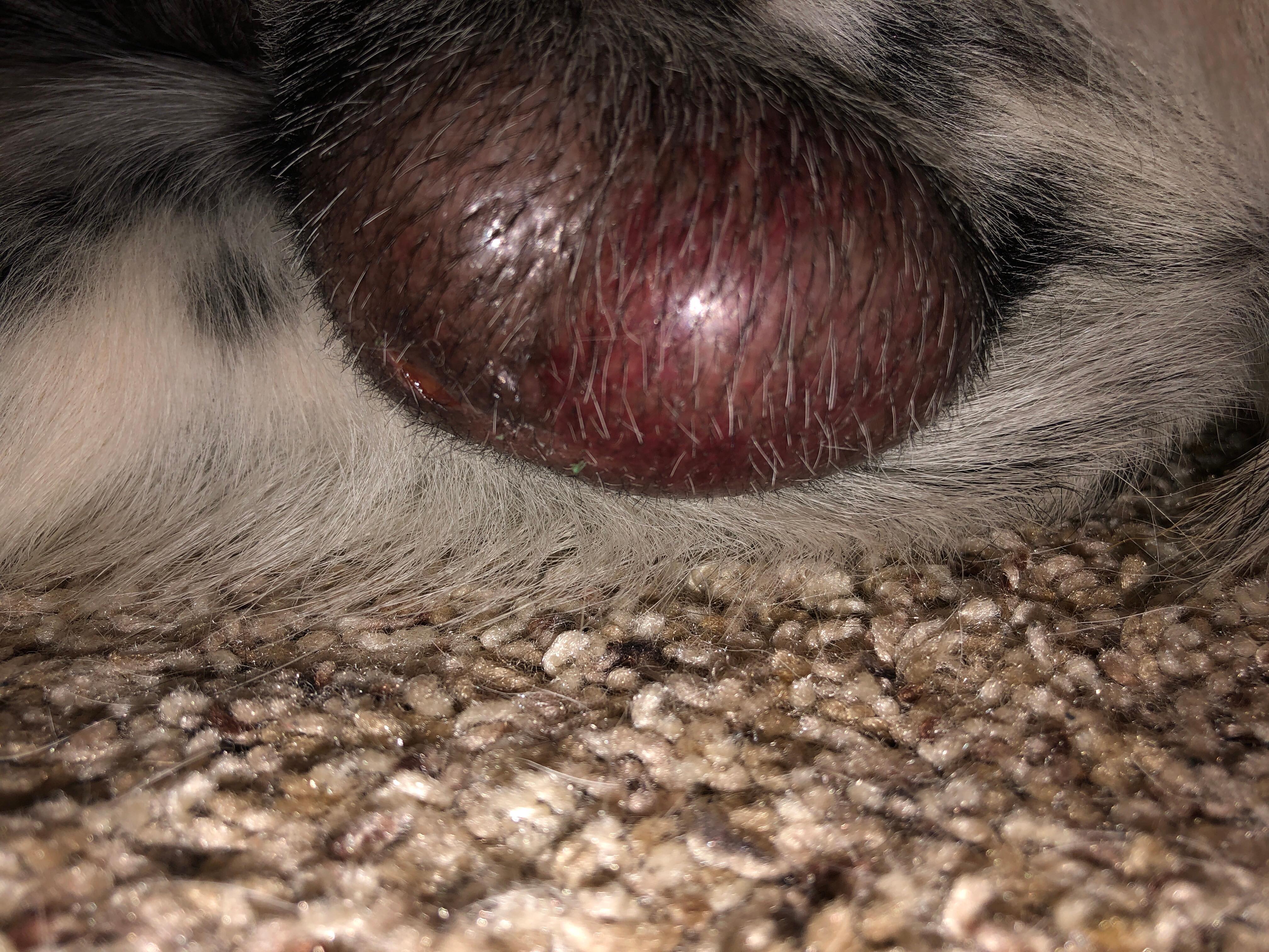 Question details sensitive content