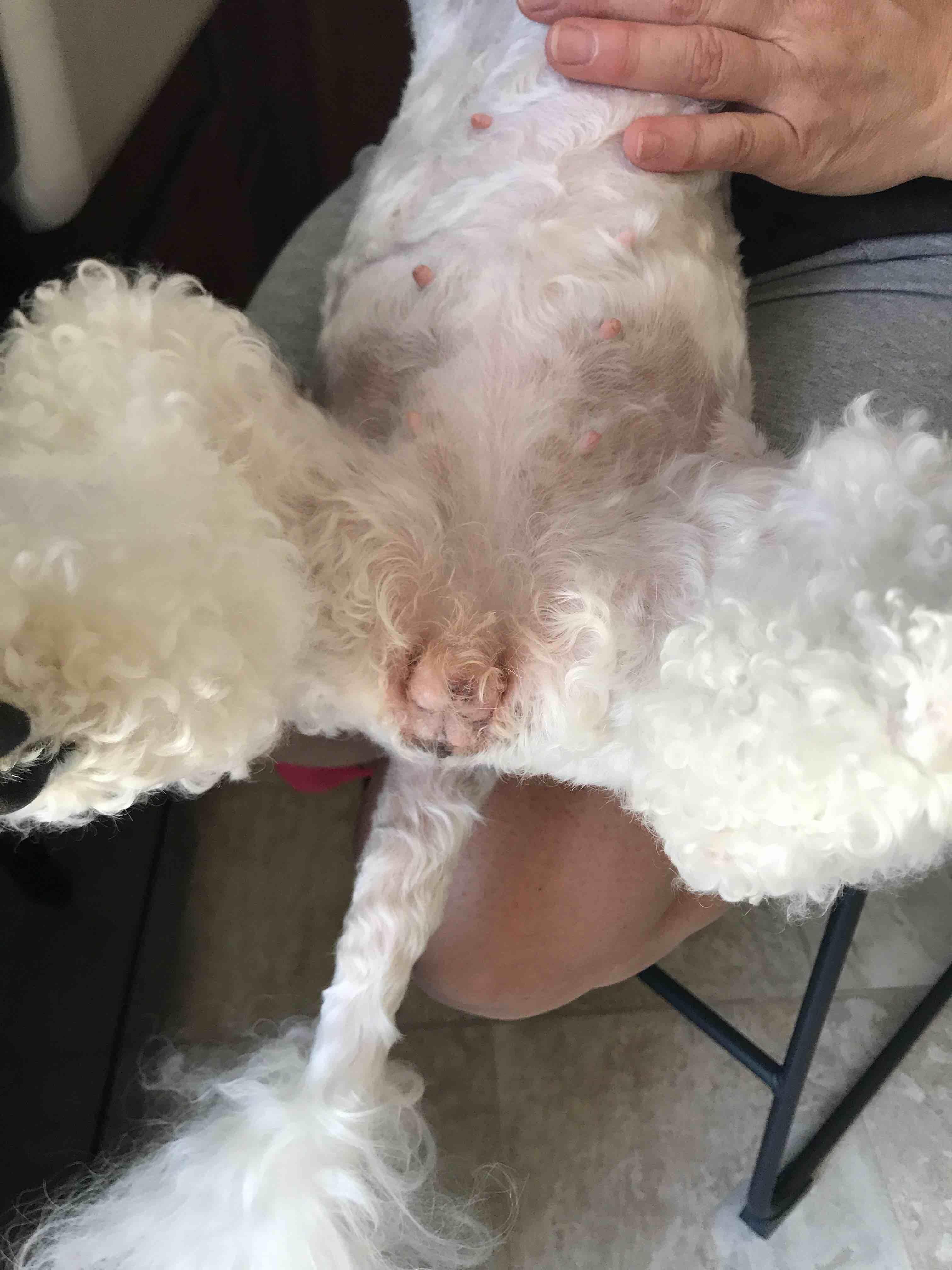 Question details sensitive content