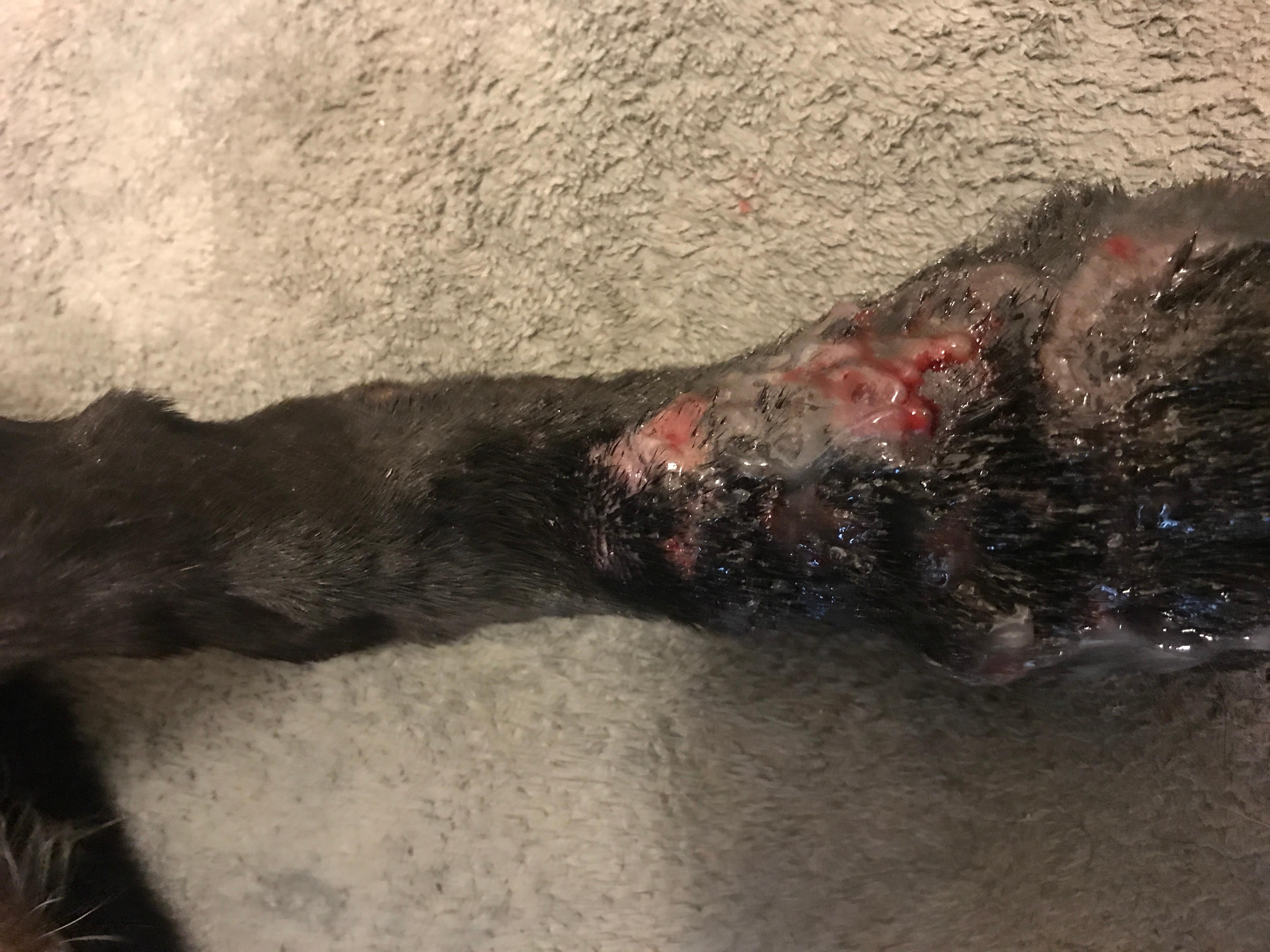 Question details sensitive content