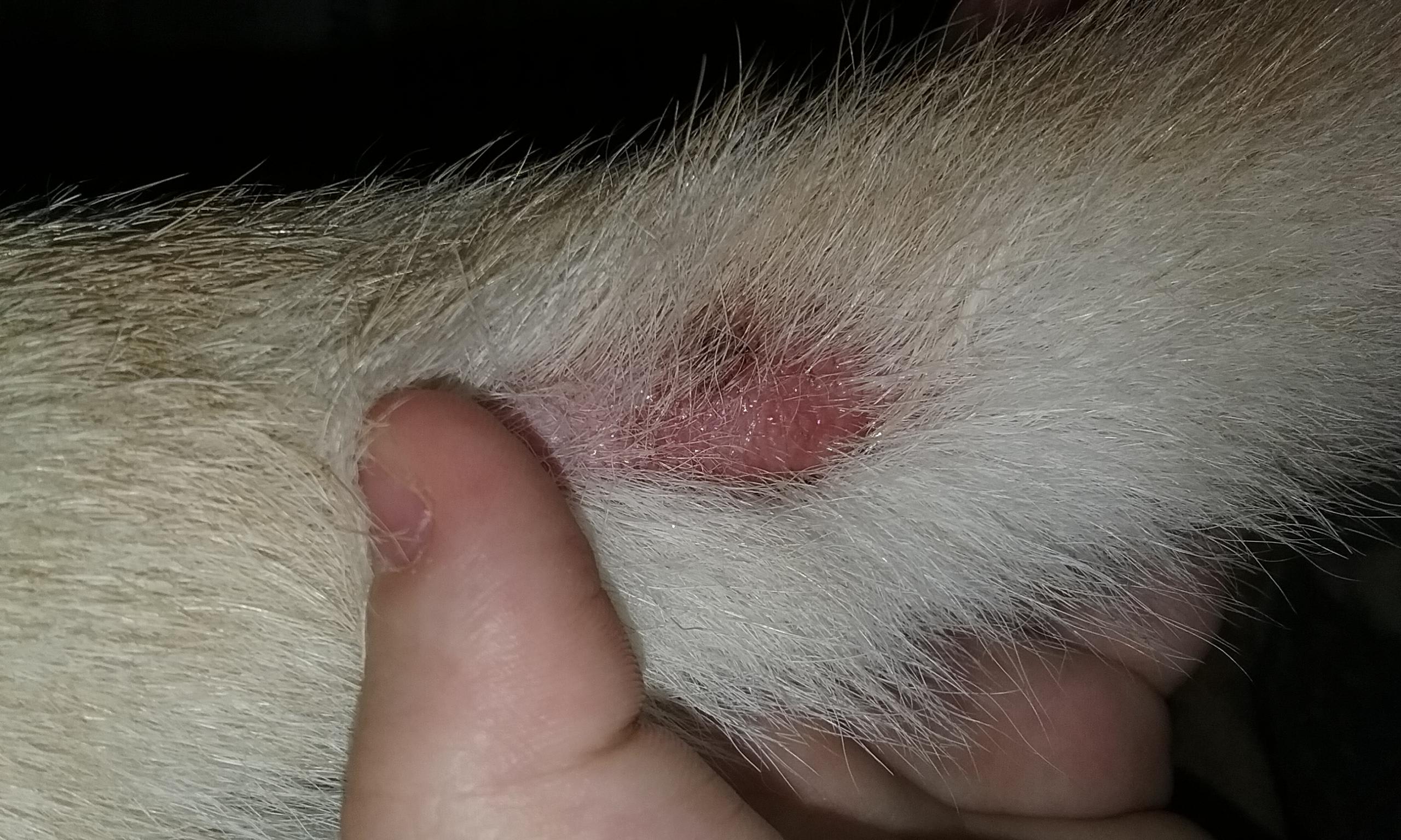 Question details sensitive content