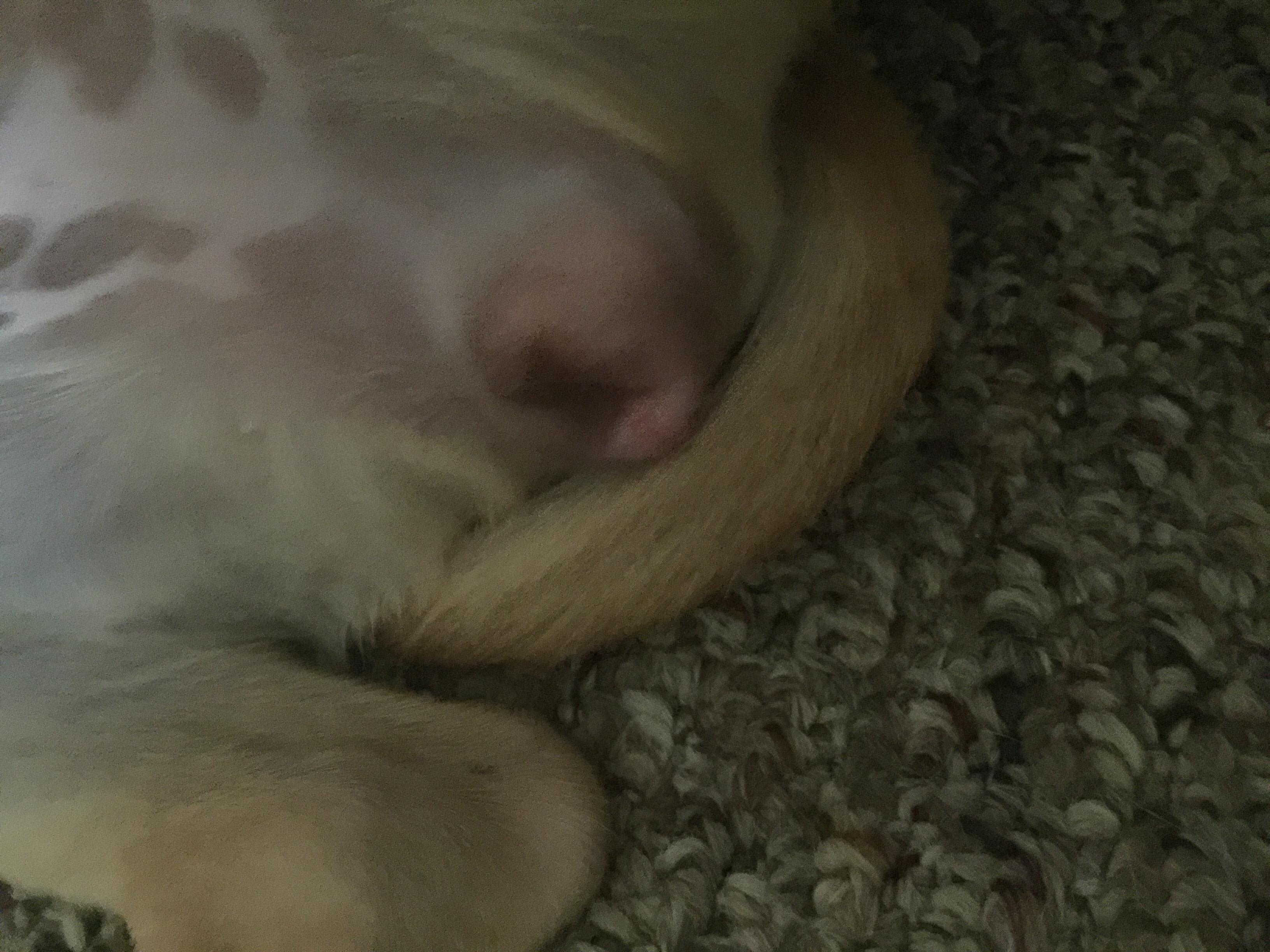 Question details sensitive content