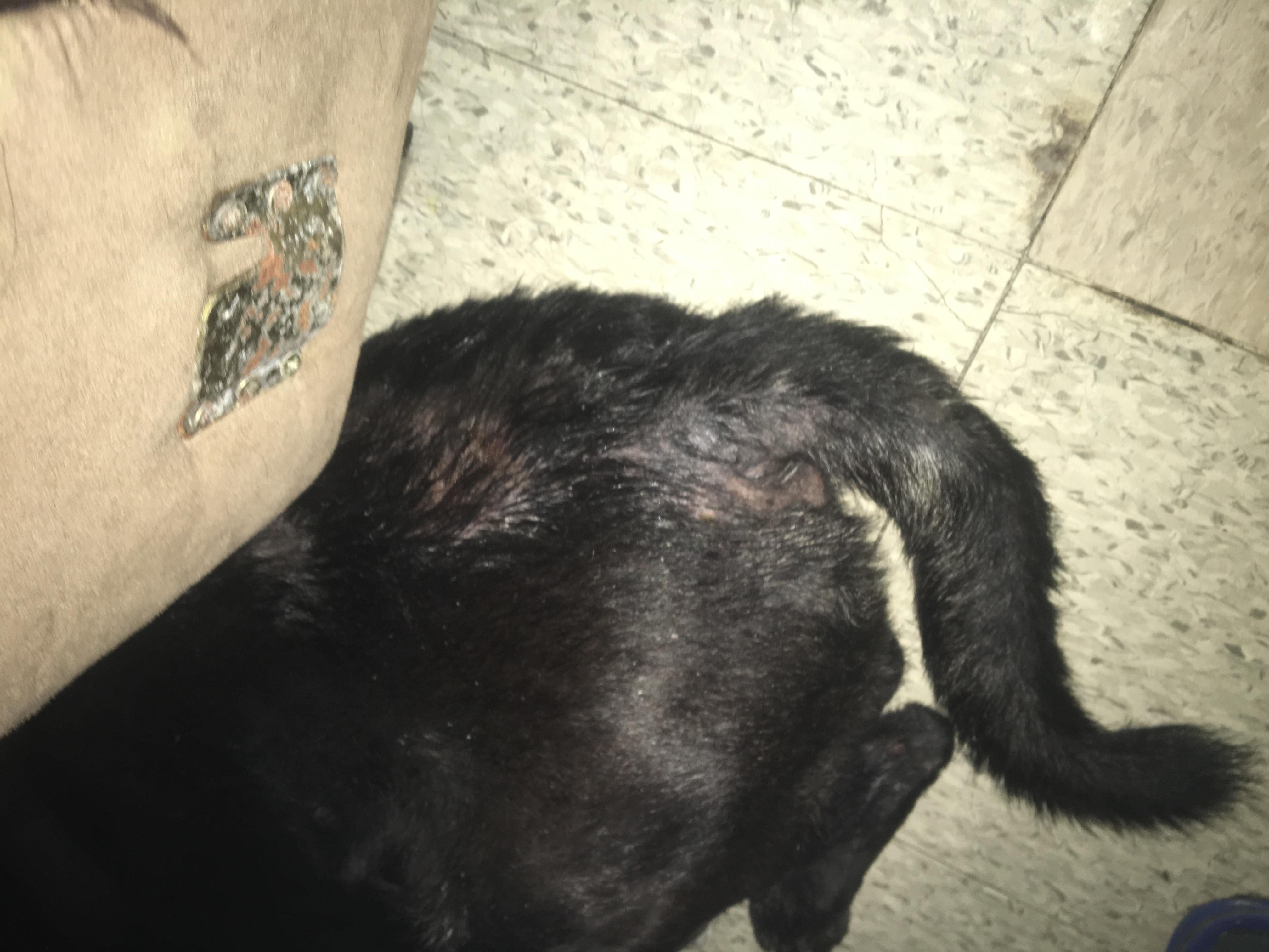 Question details sensitive content