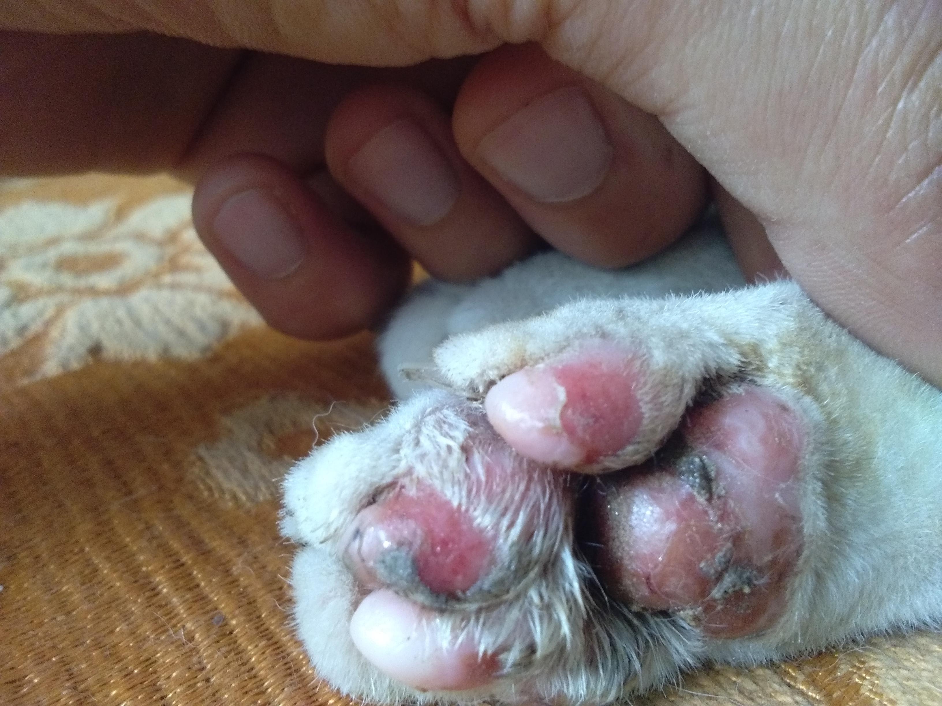 Question details sensitive content