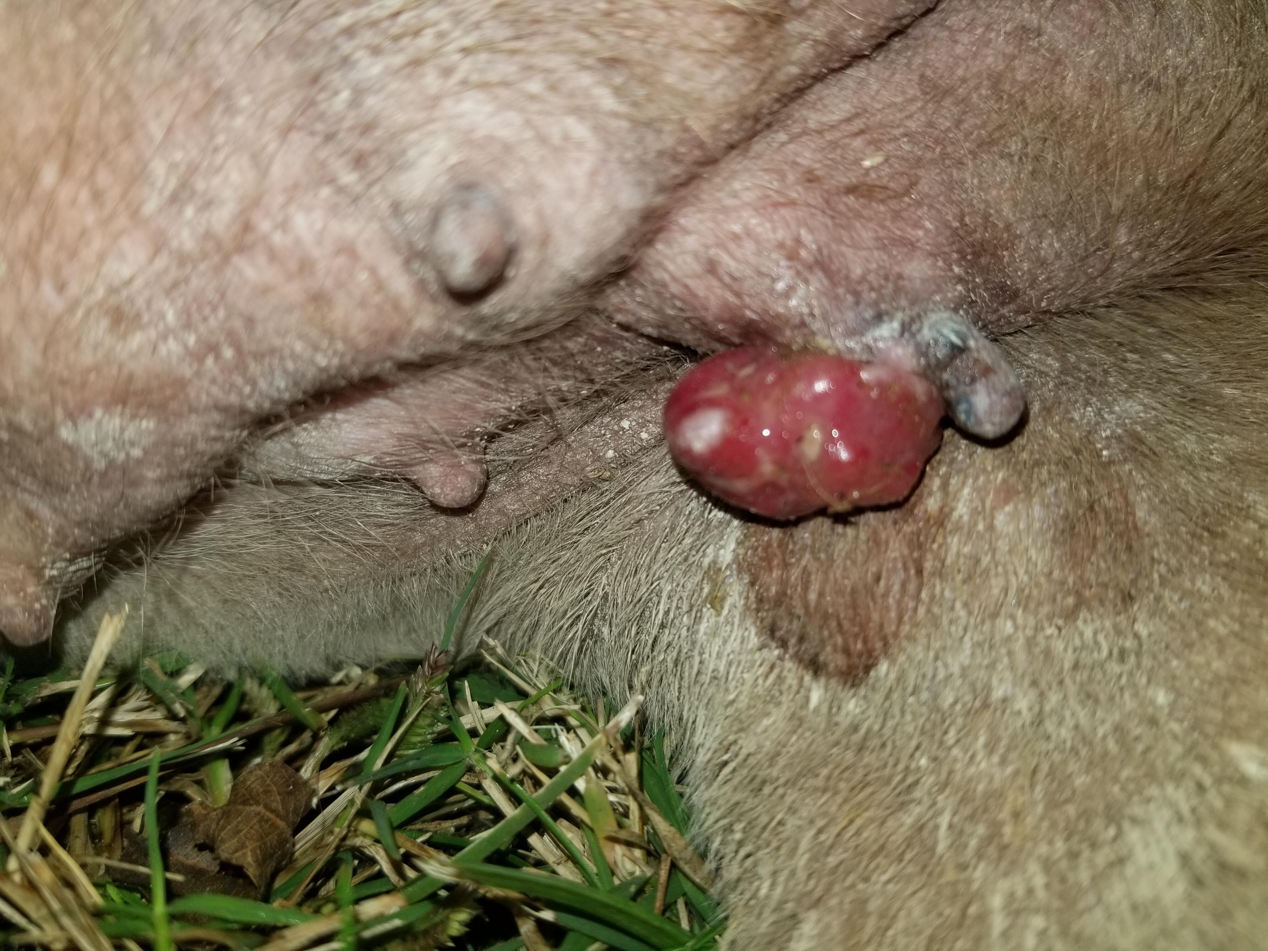 Question details sensitive content