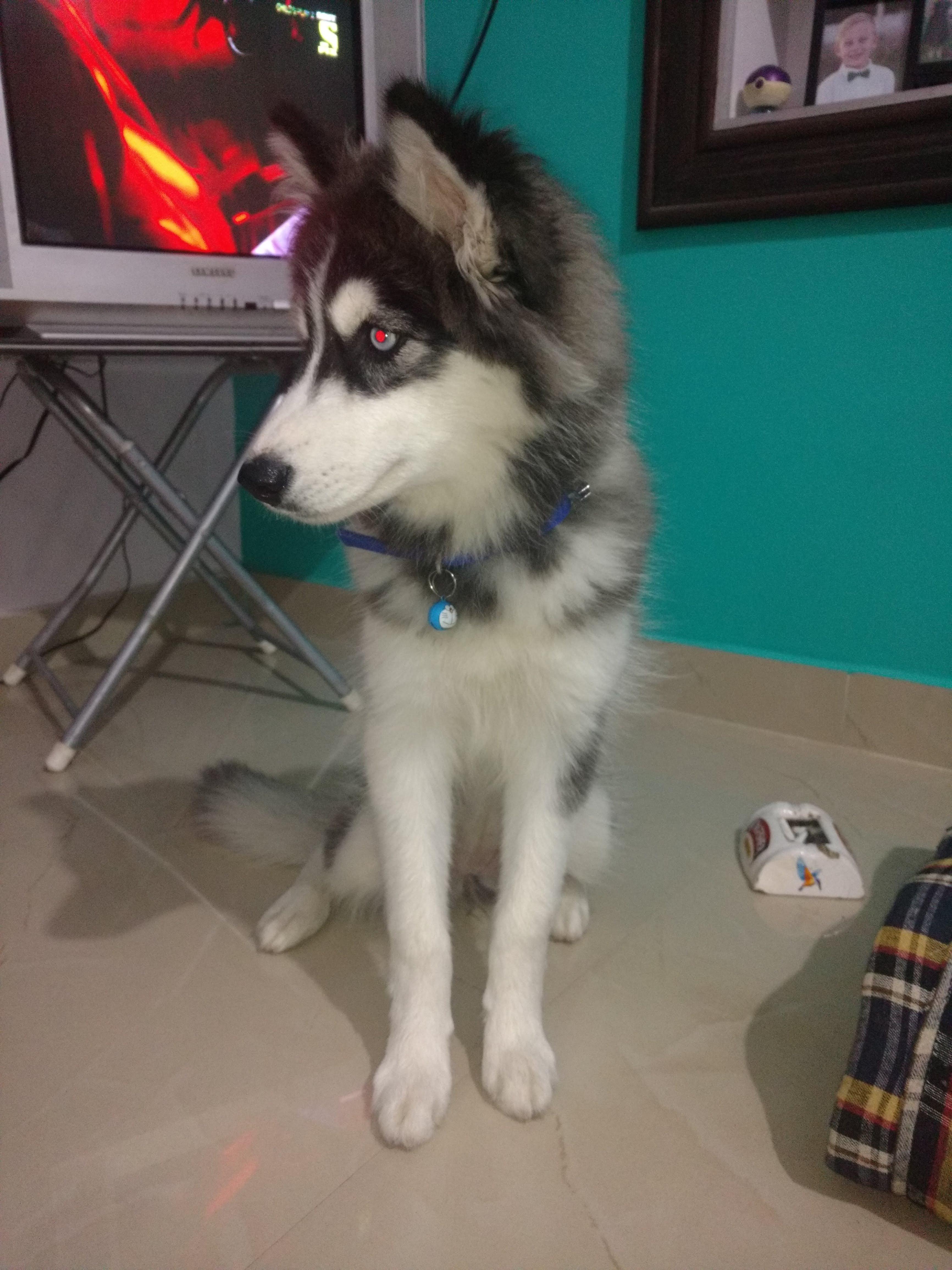 Question details sensitive content