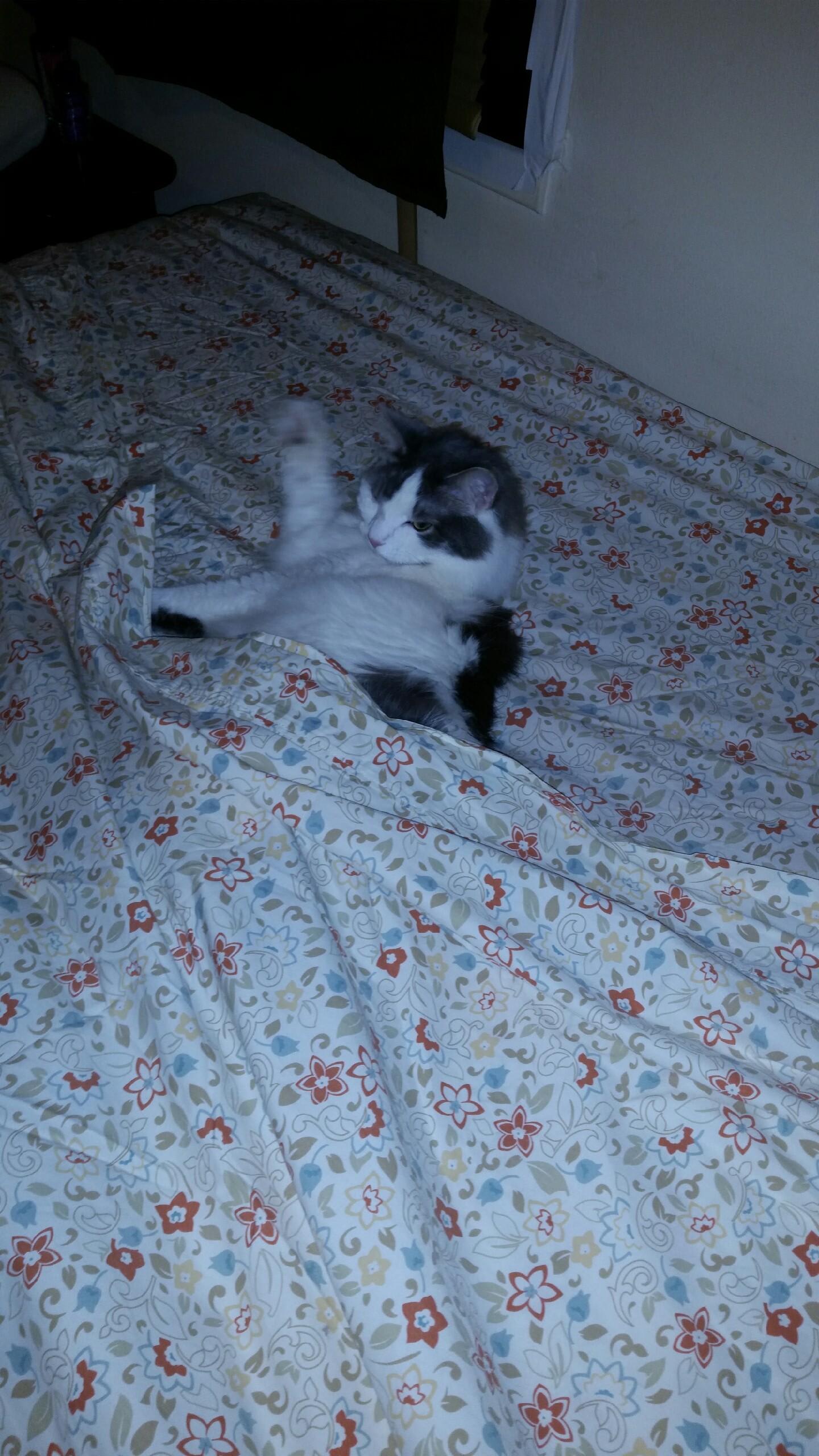 Question details sensitive content