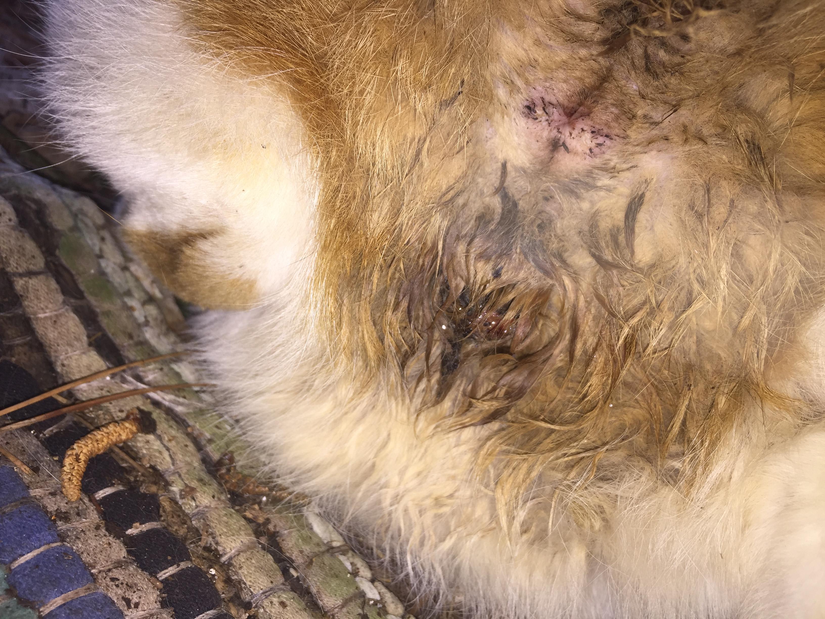 Question details sensitive content