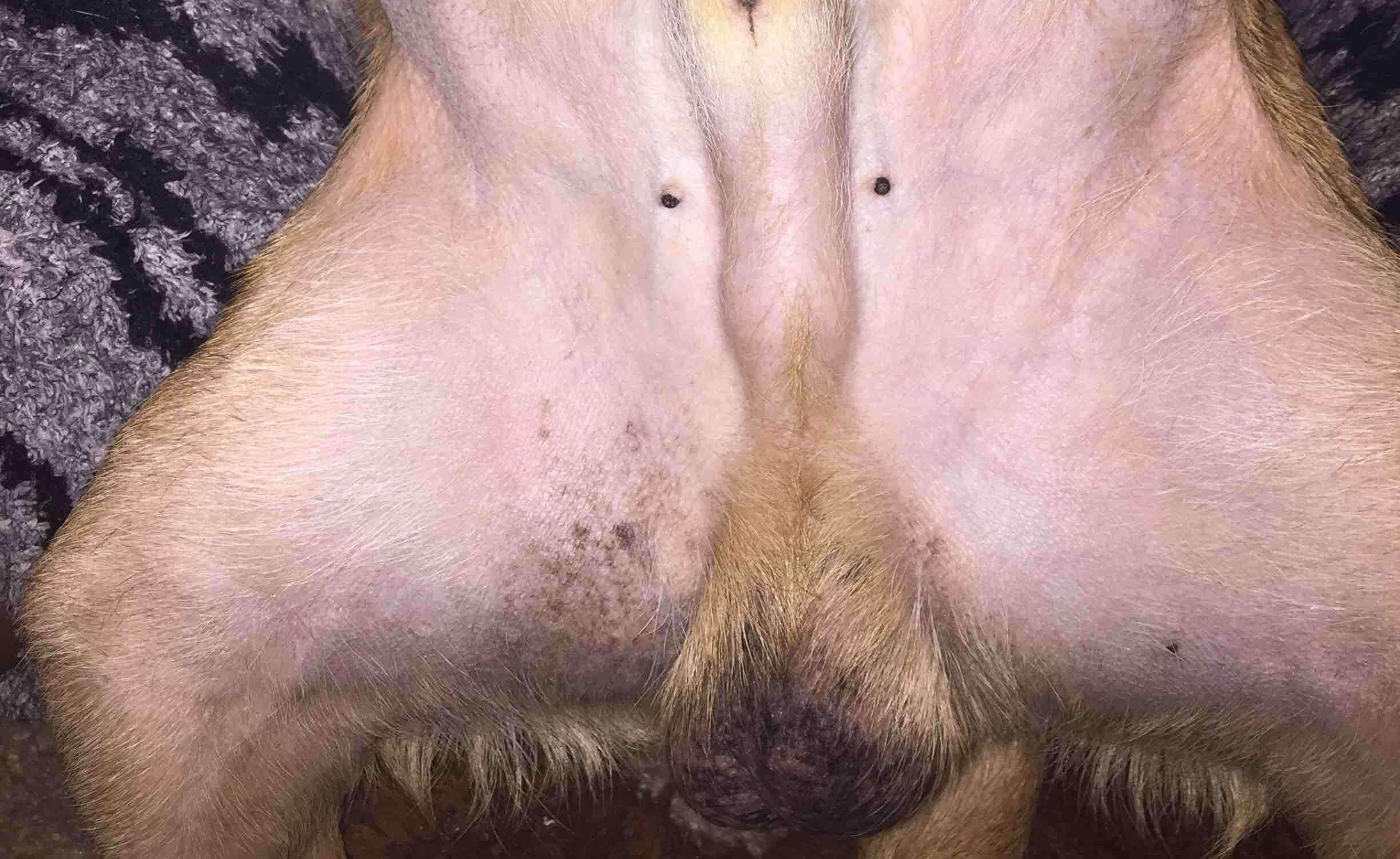 Question details sensitive content