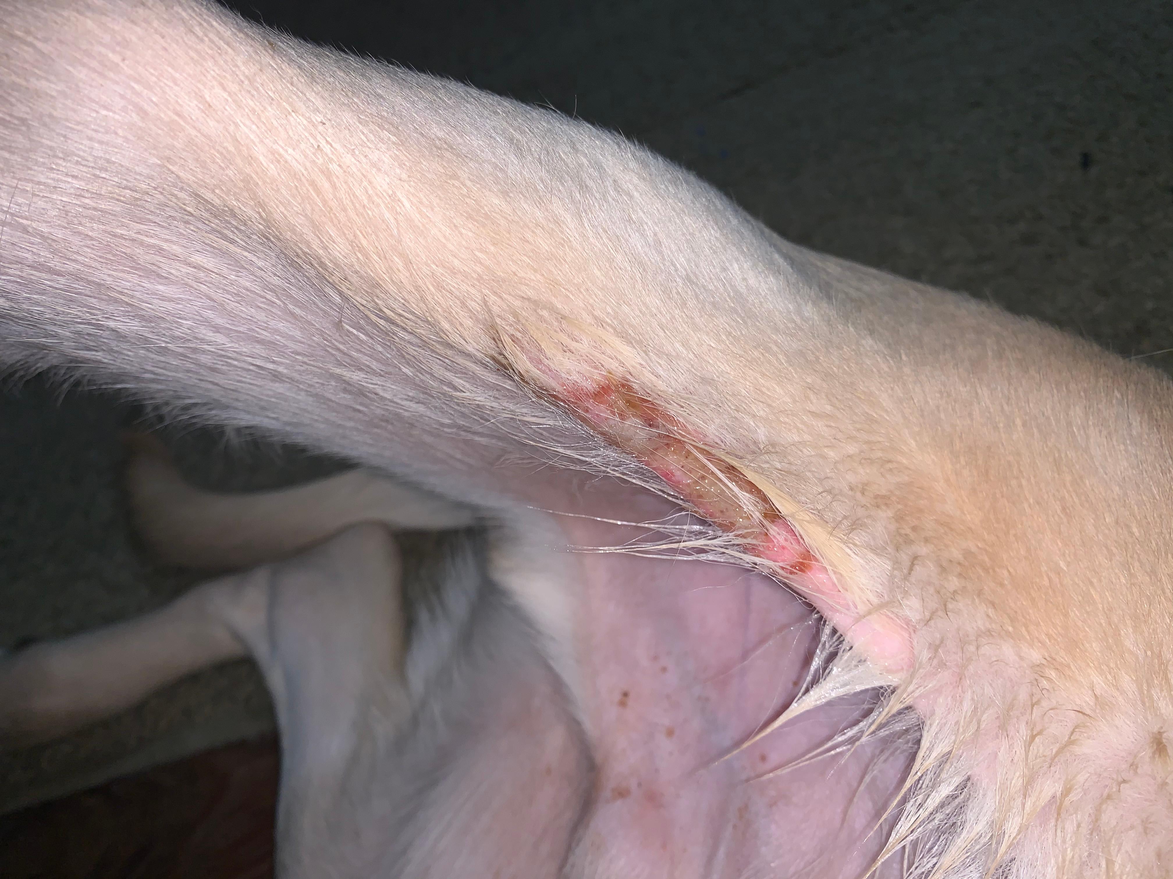 Question details sensitive content