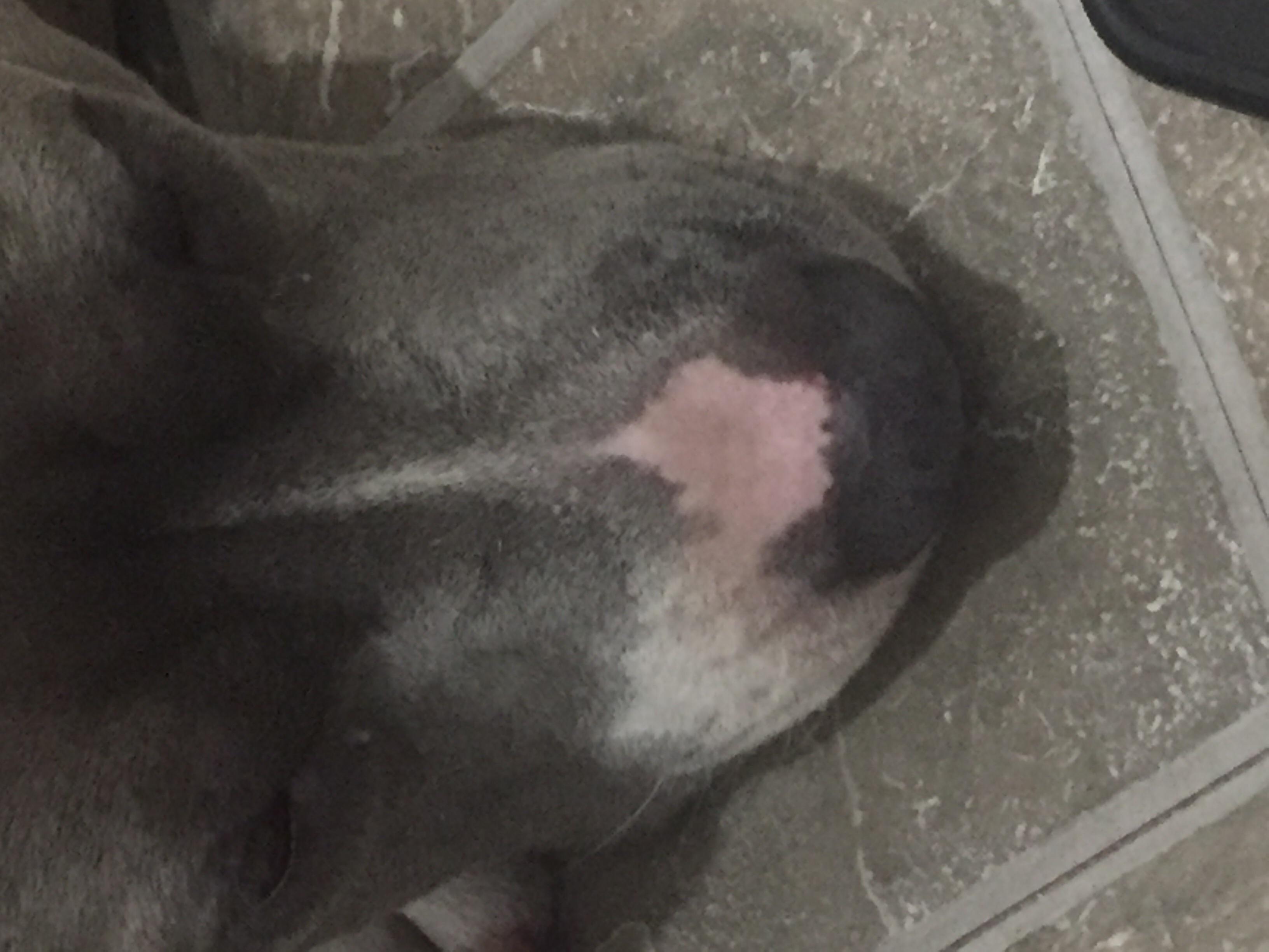 Question details sensitive content