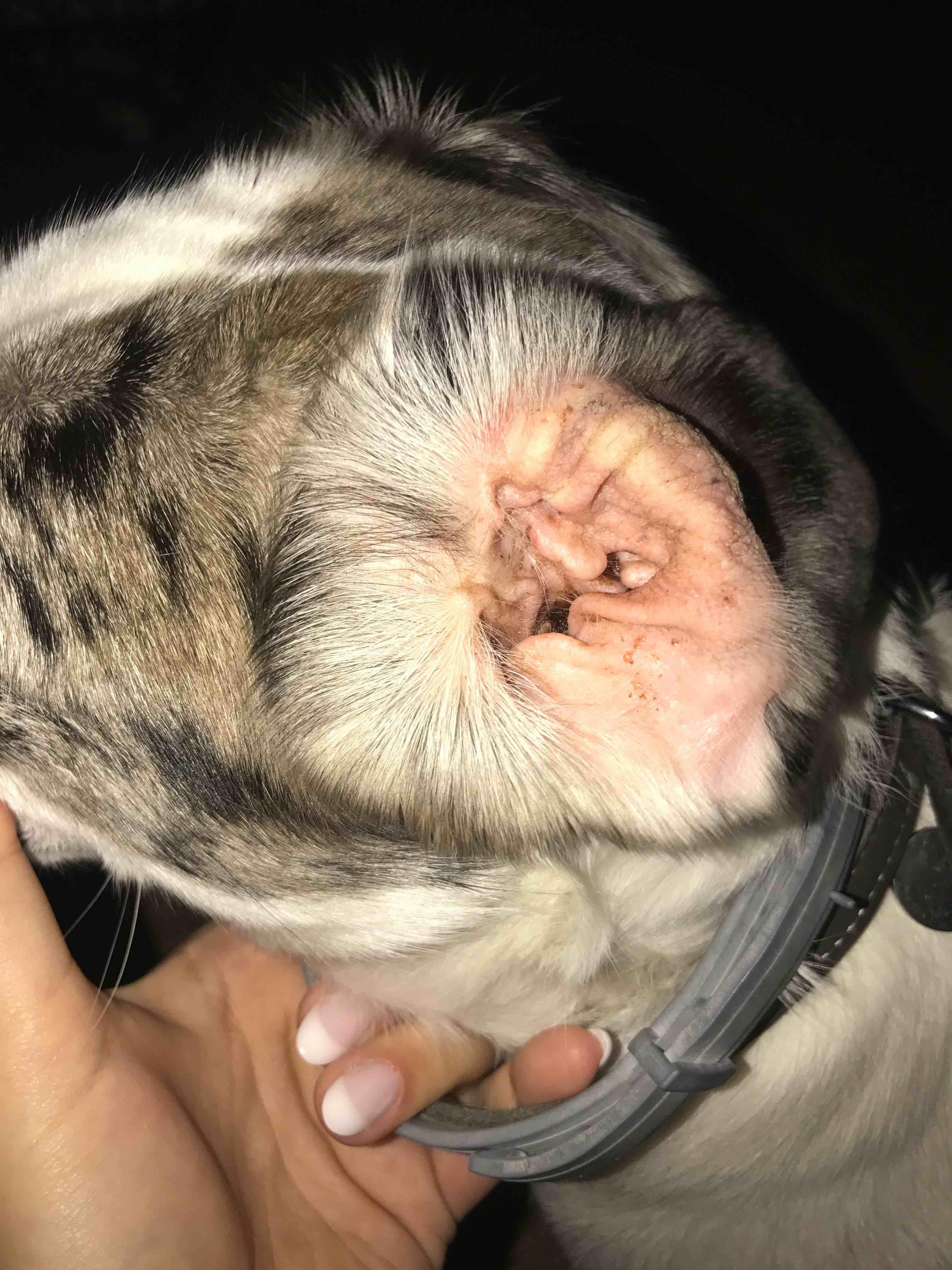 Question details sensitive content