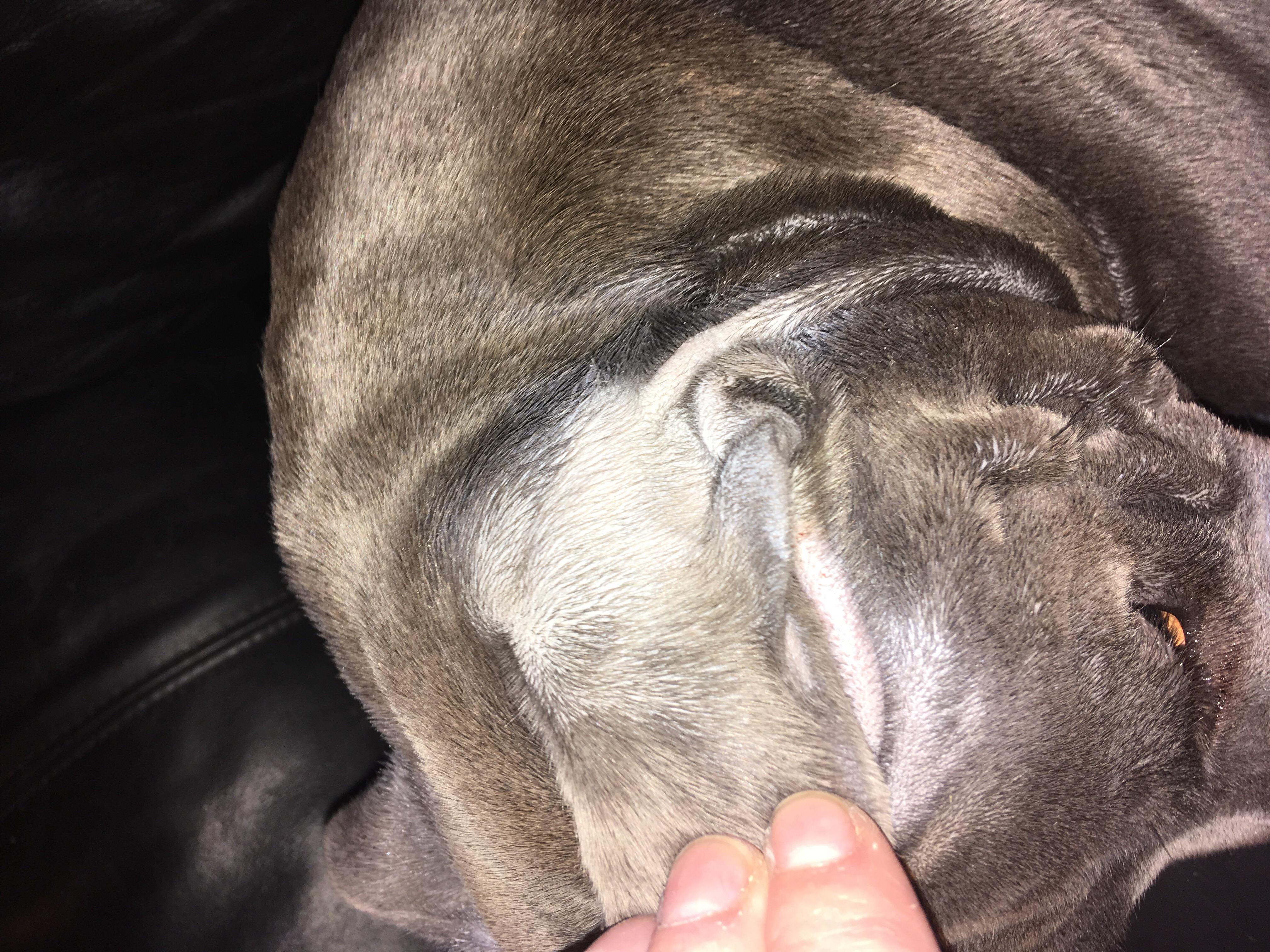 Question details sensitive content