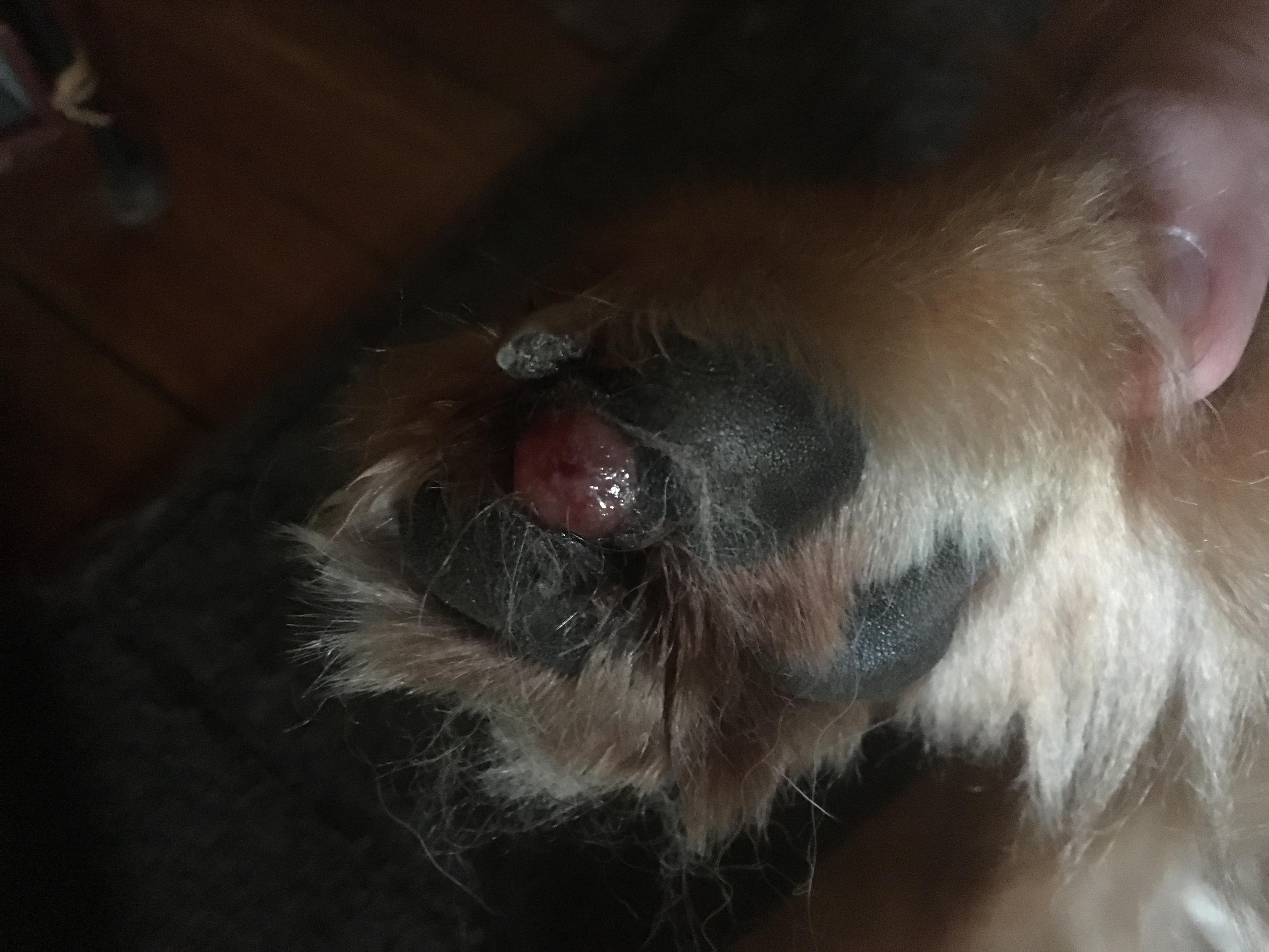 Question details sensitive content