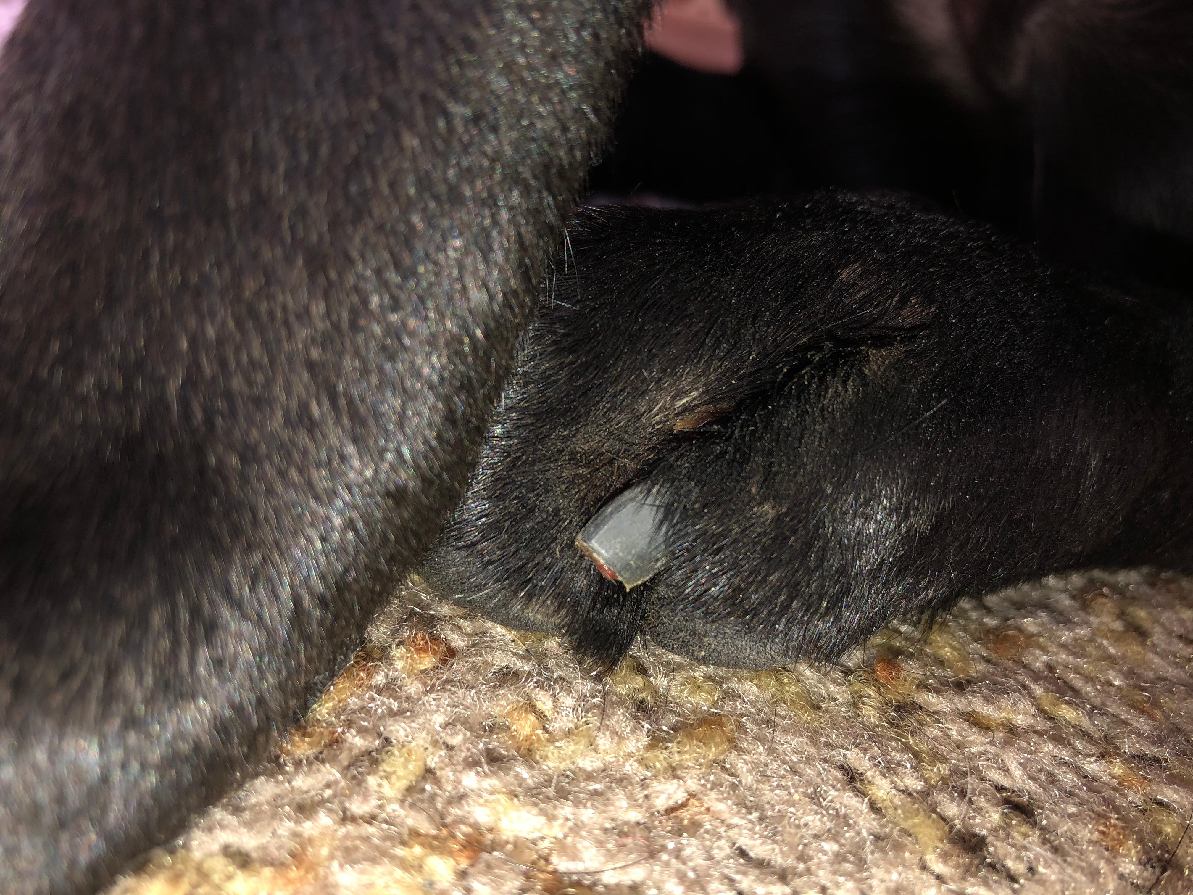 Question details sensitive content