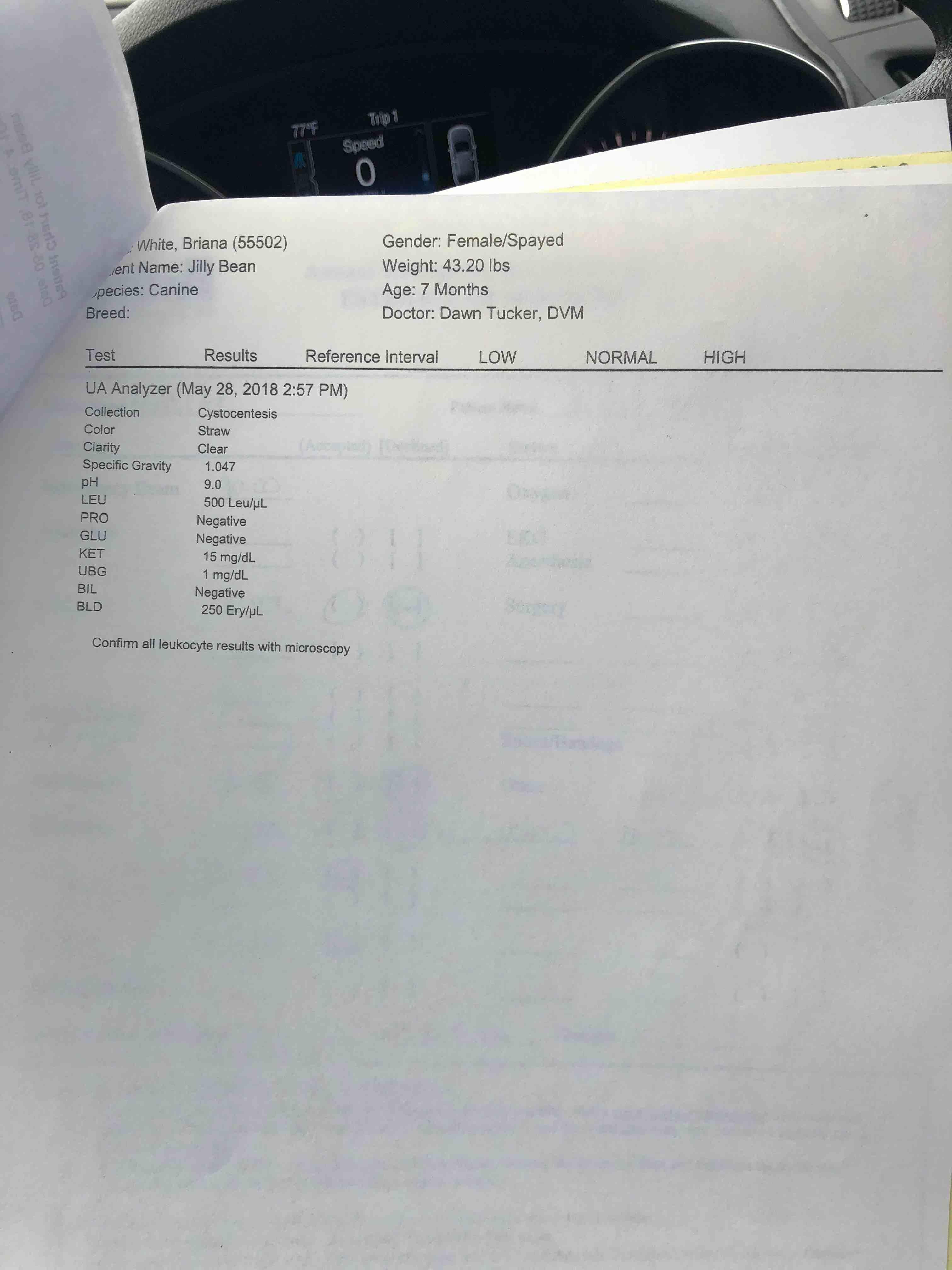 Question details sensitive content