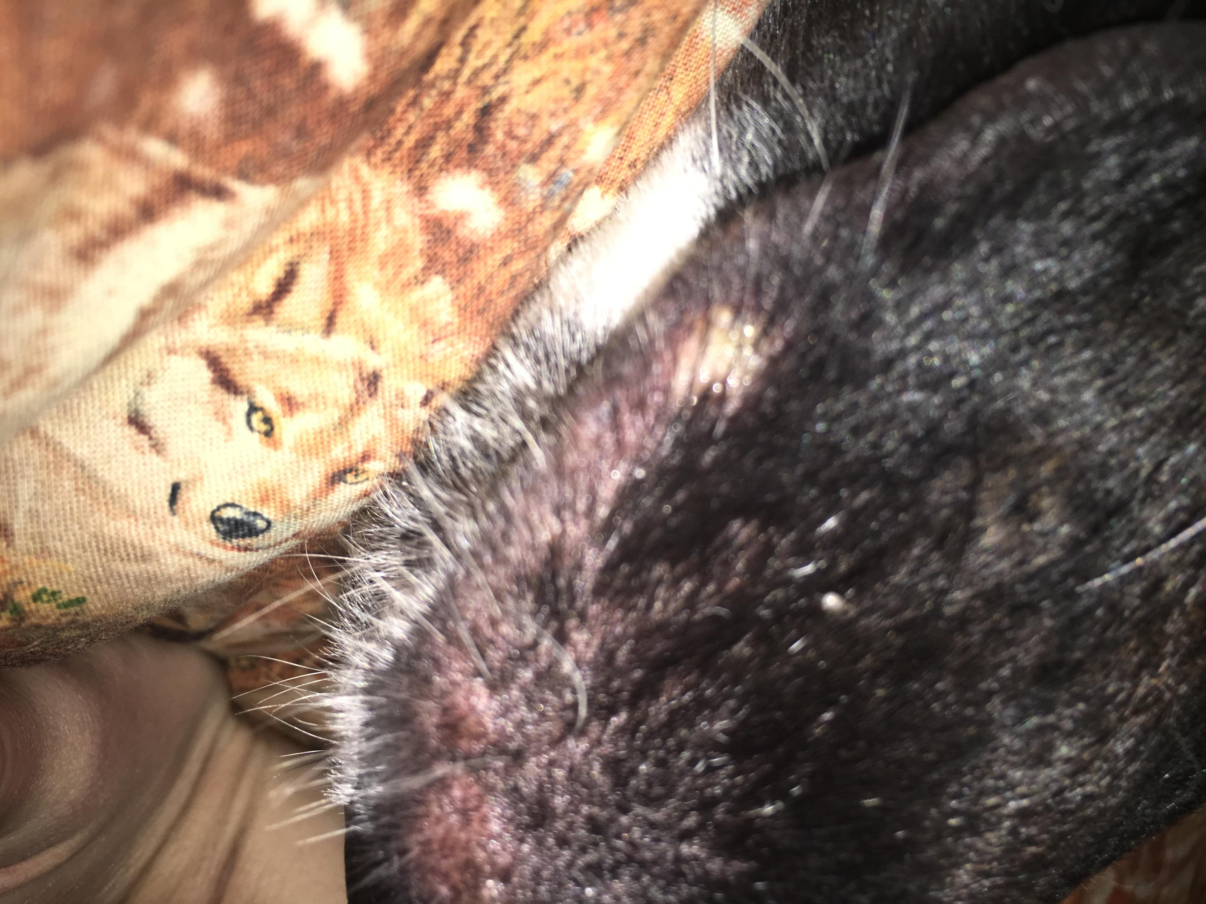 Question details sensitive content