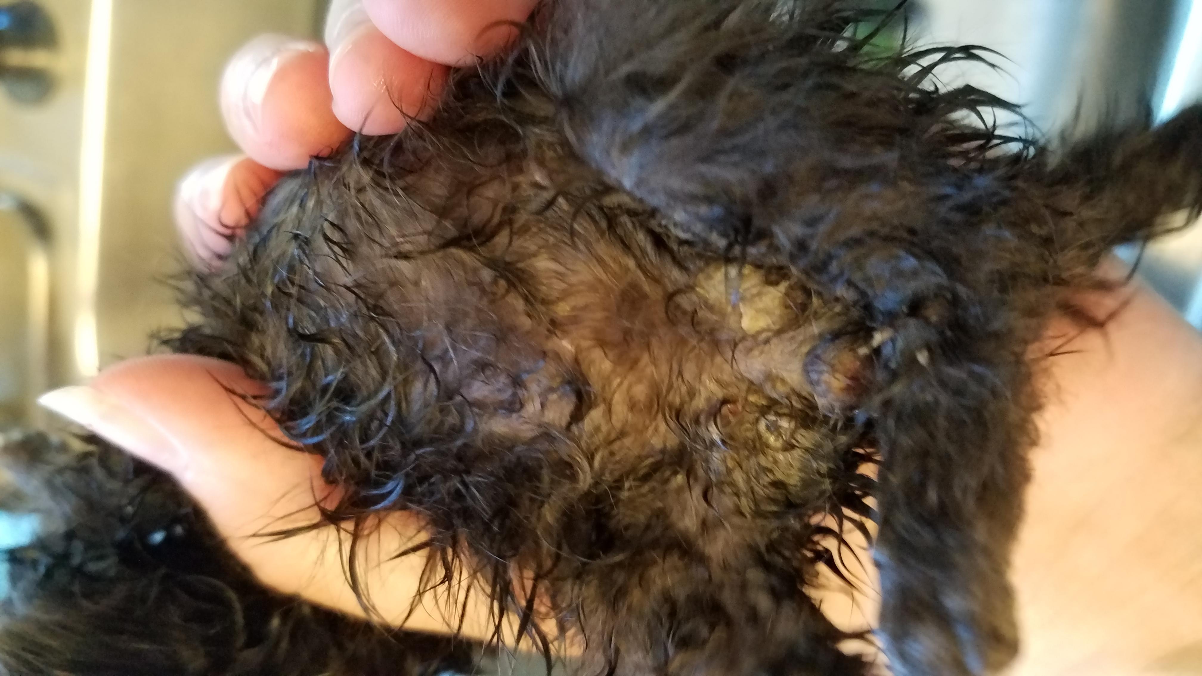 Question details sensitive content