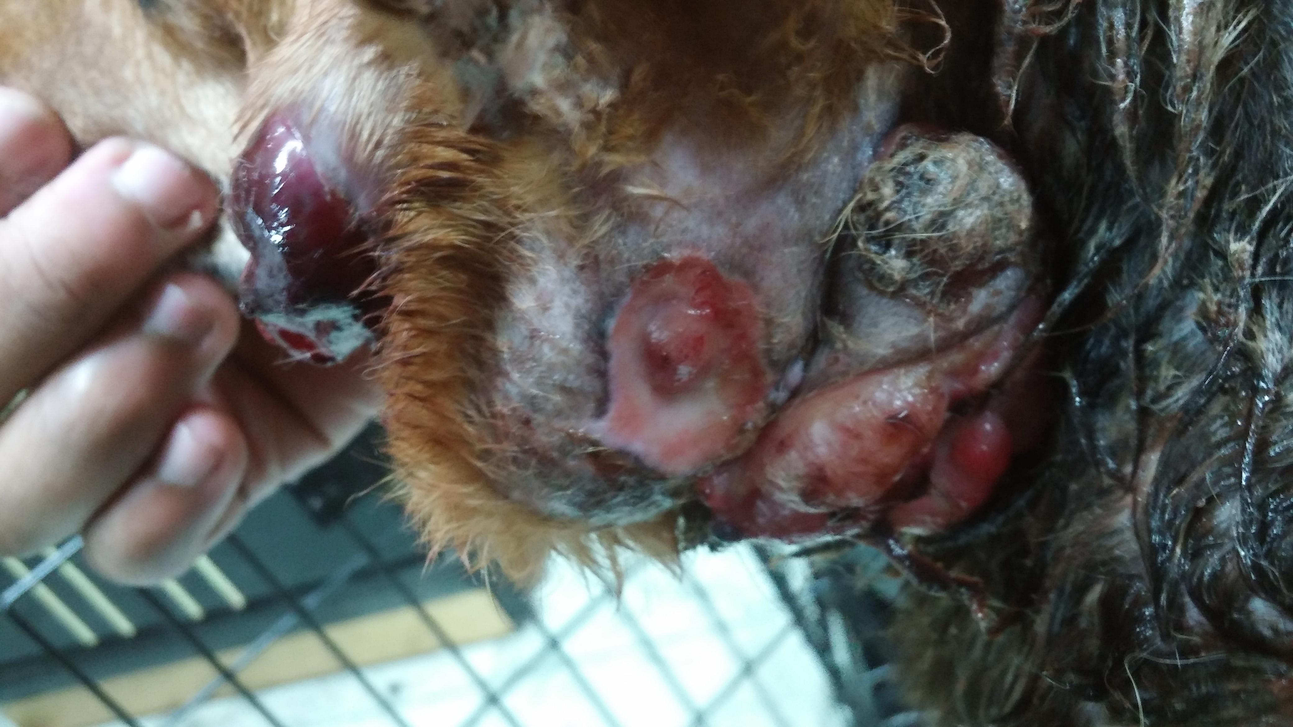 Question details sensitive content