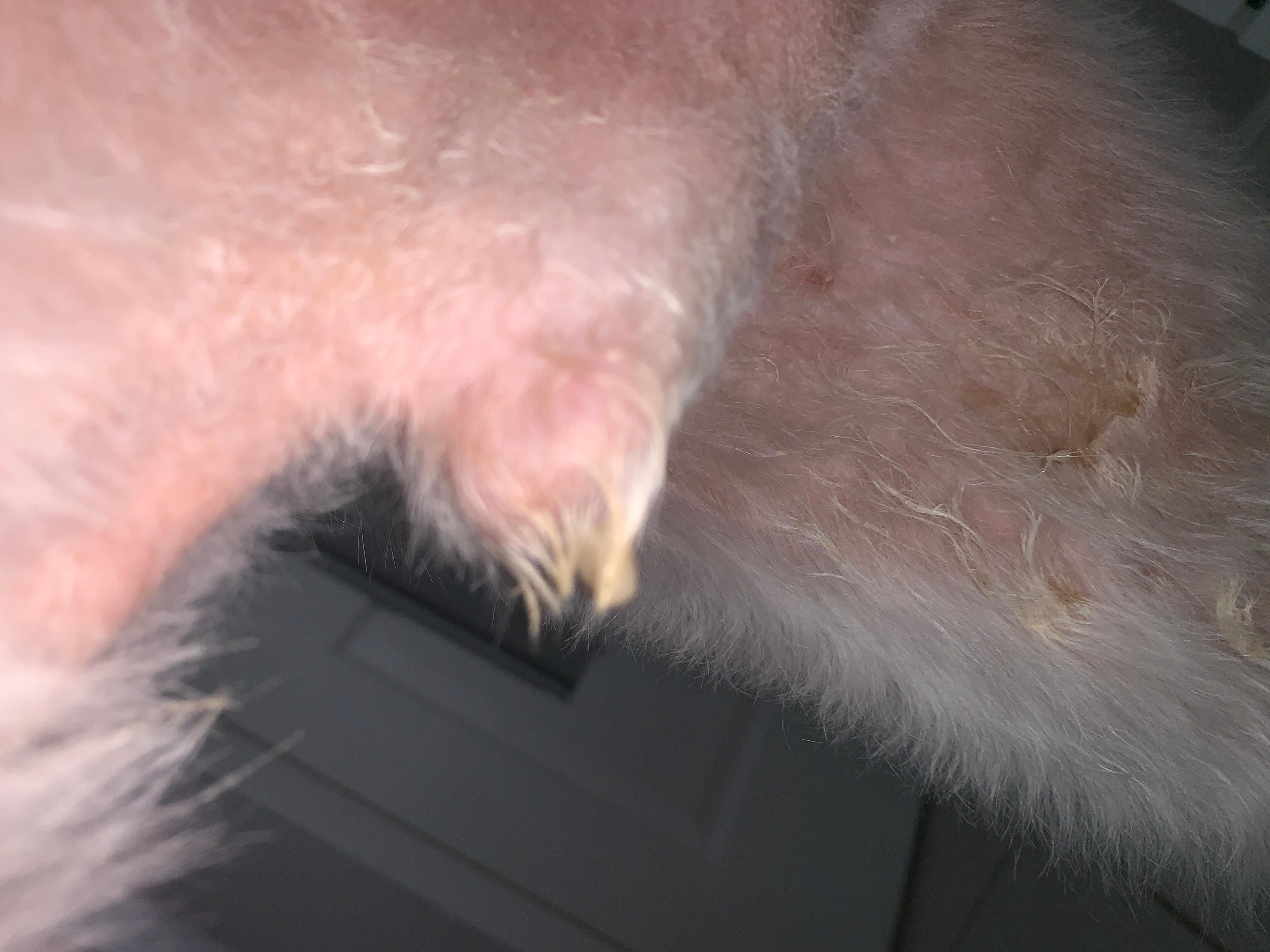 Question details sensitive content