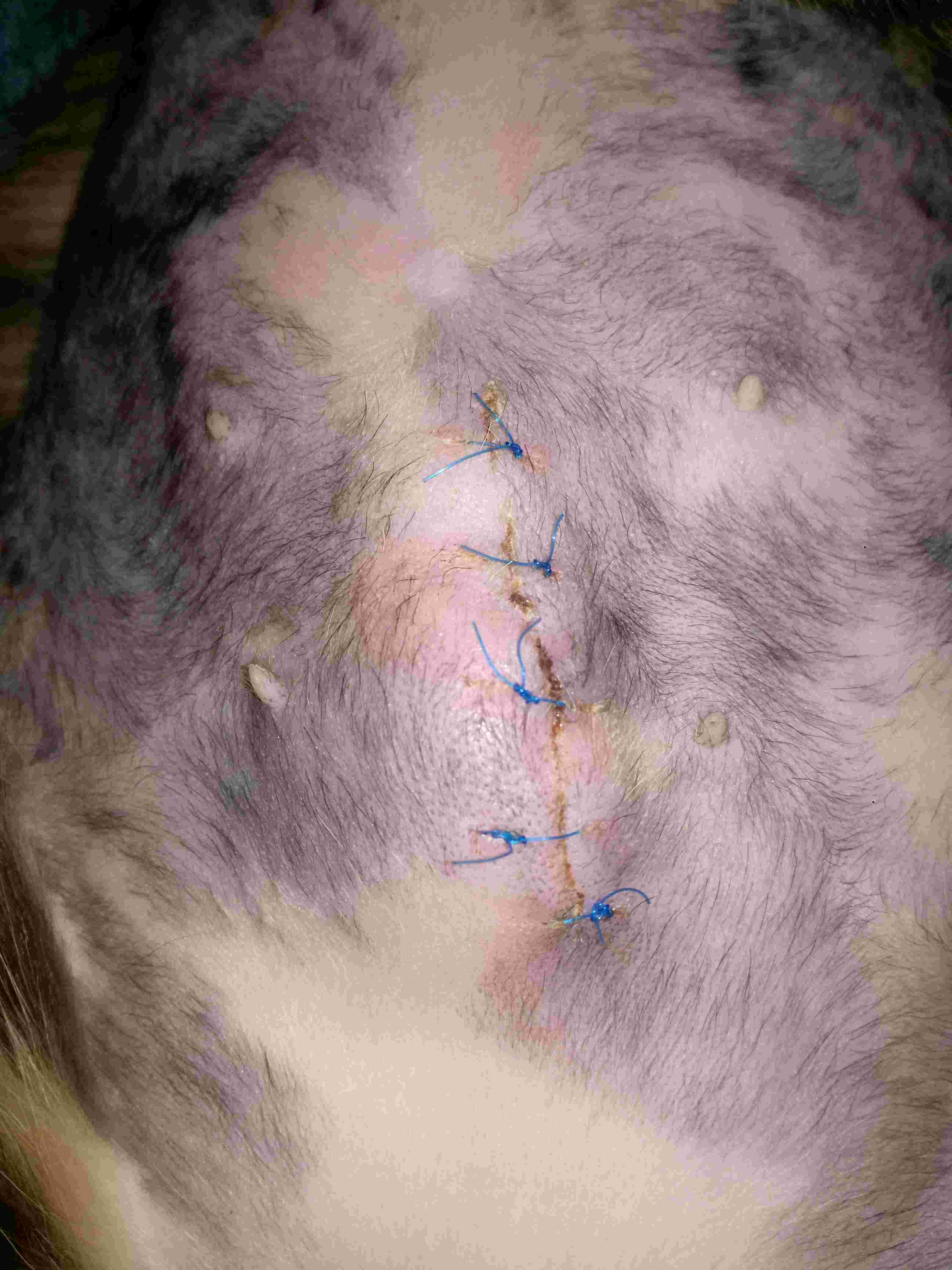 Question details sensitive content