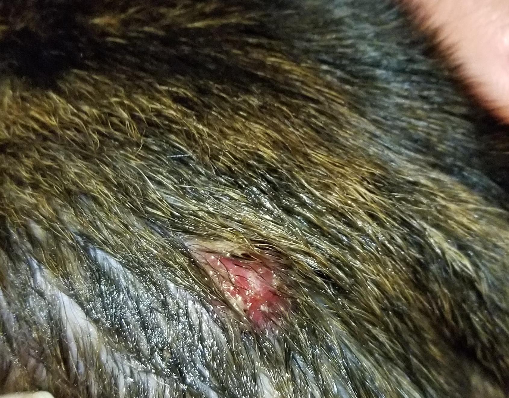 Question details sensitive content