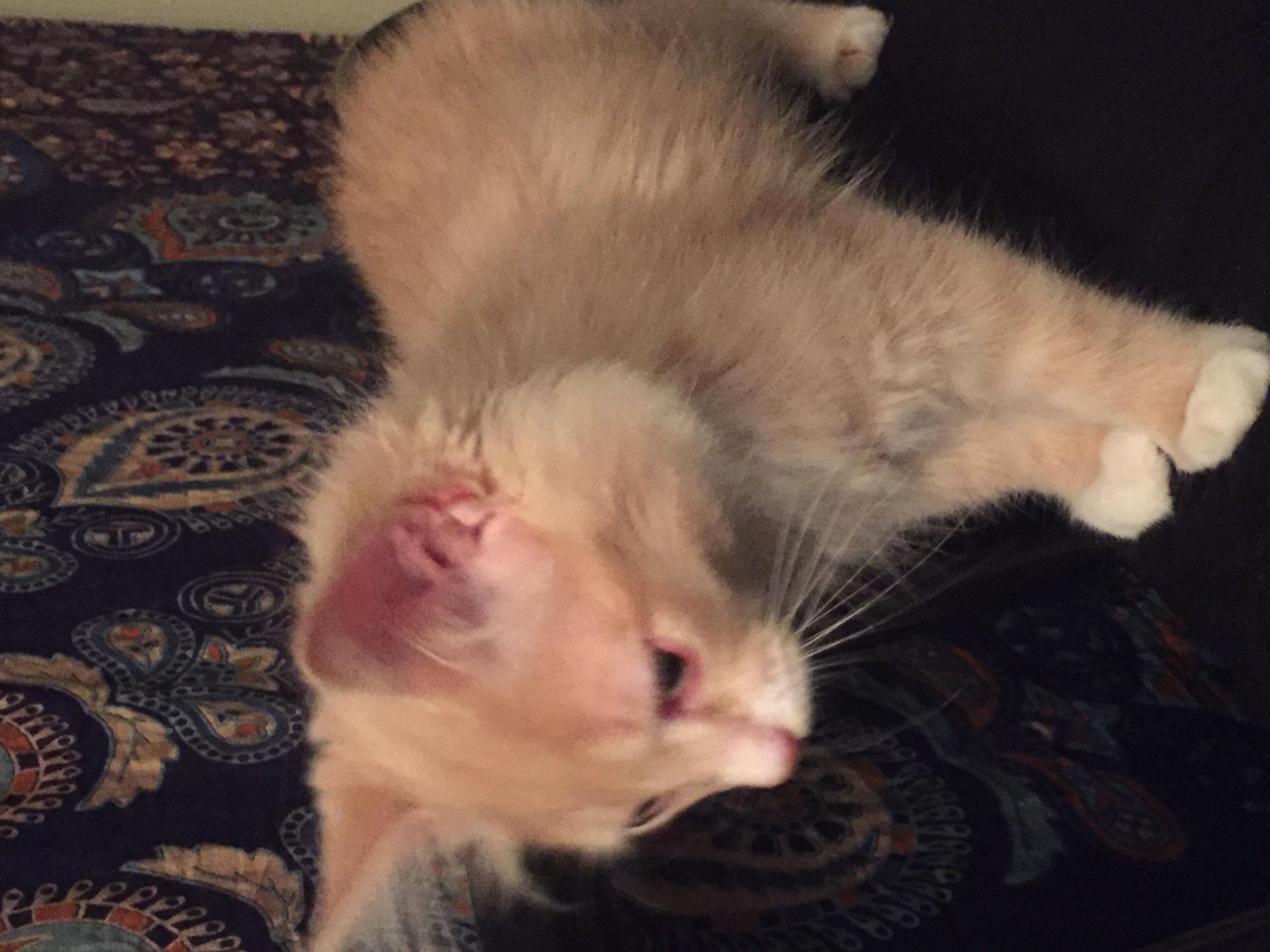 Question details sensitive content