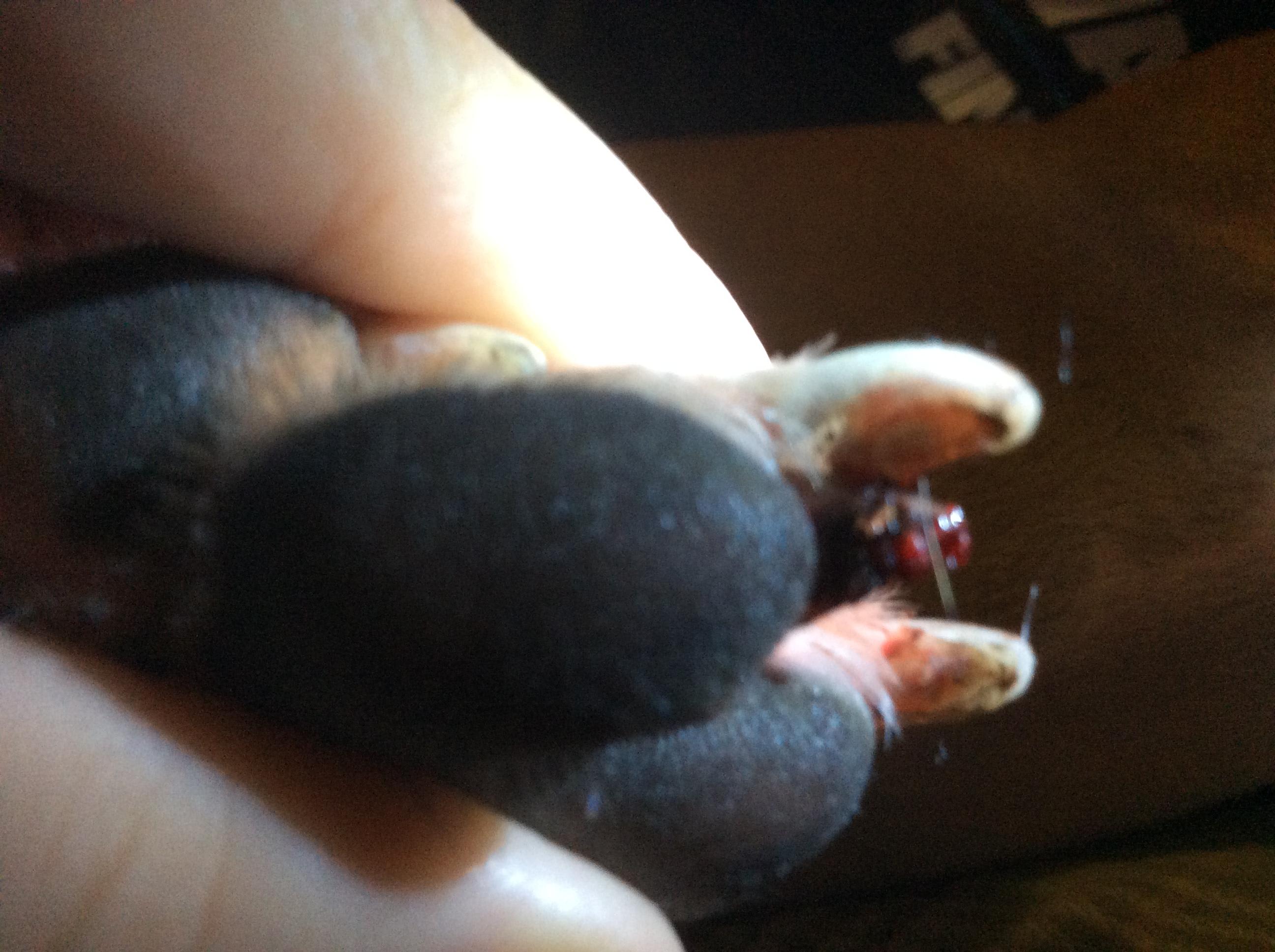 Question details sensitive content