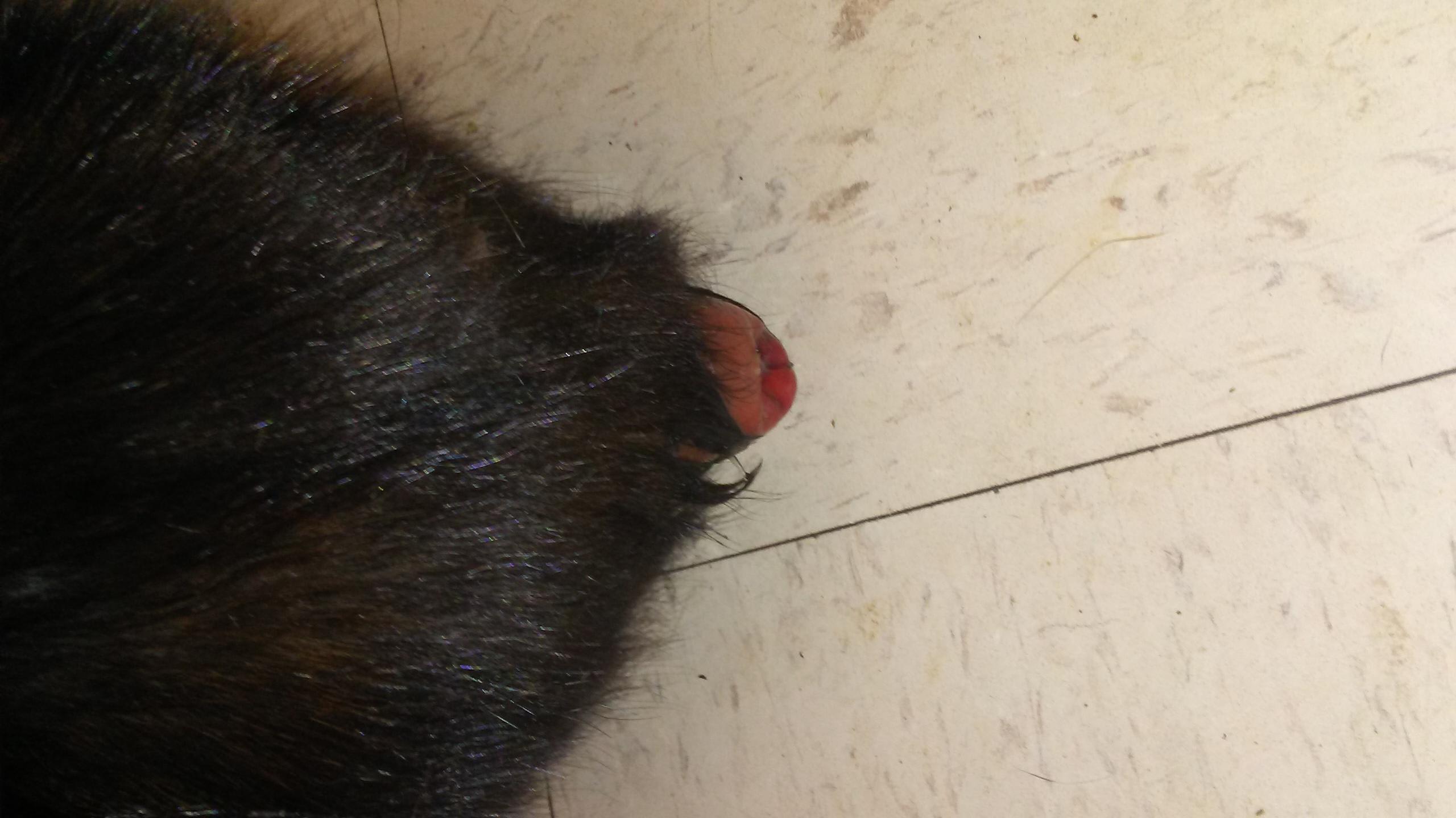 Question details sensitive content