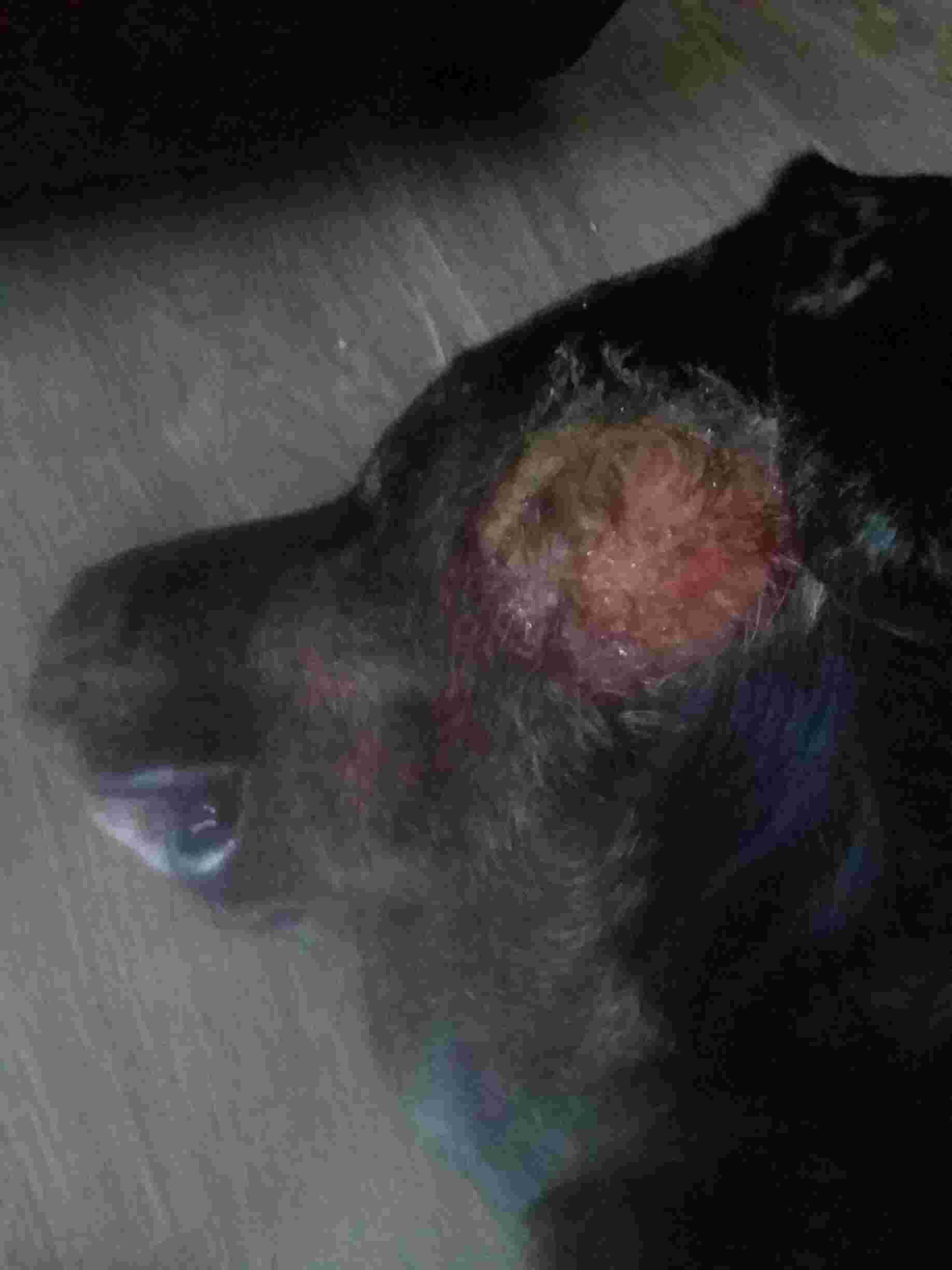 Question details sensitive content