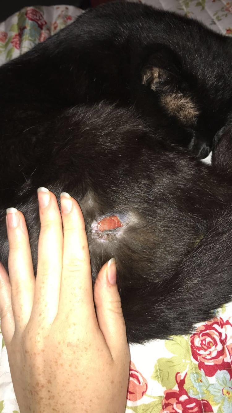 Question details sensitive content