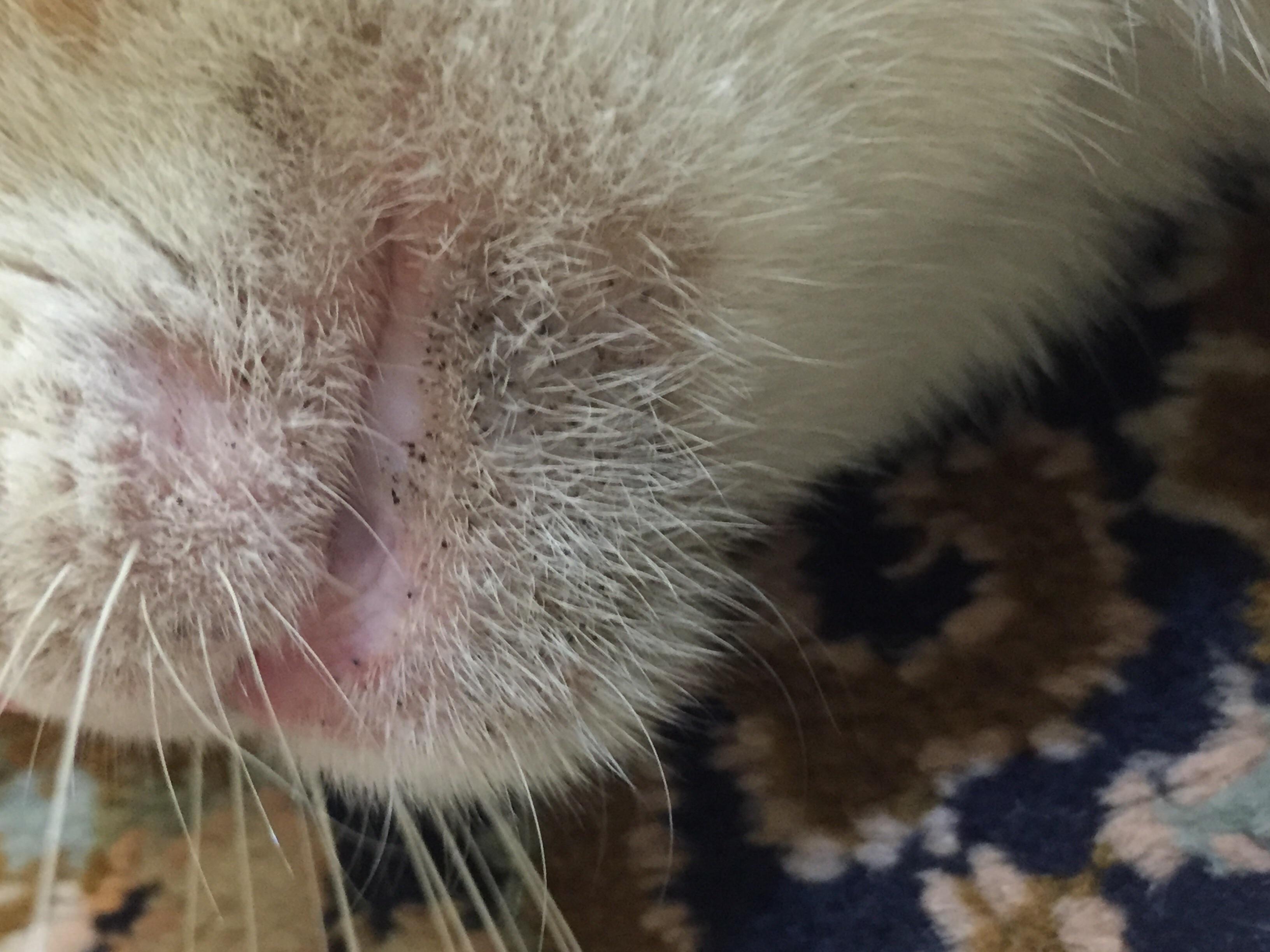 Question details sensitive content