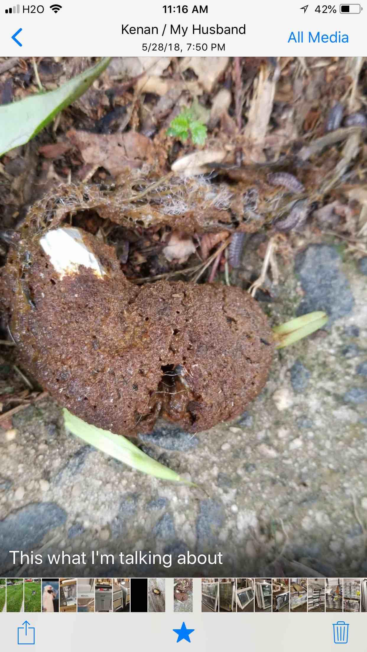 Question details sensitive content