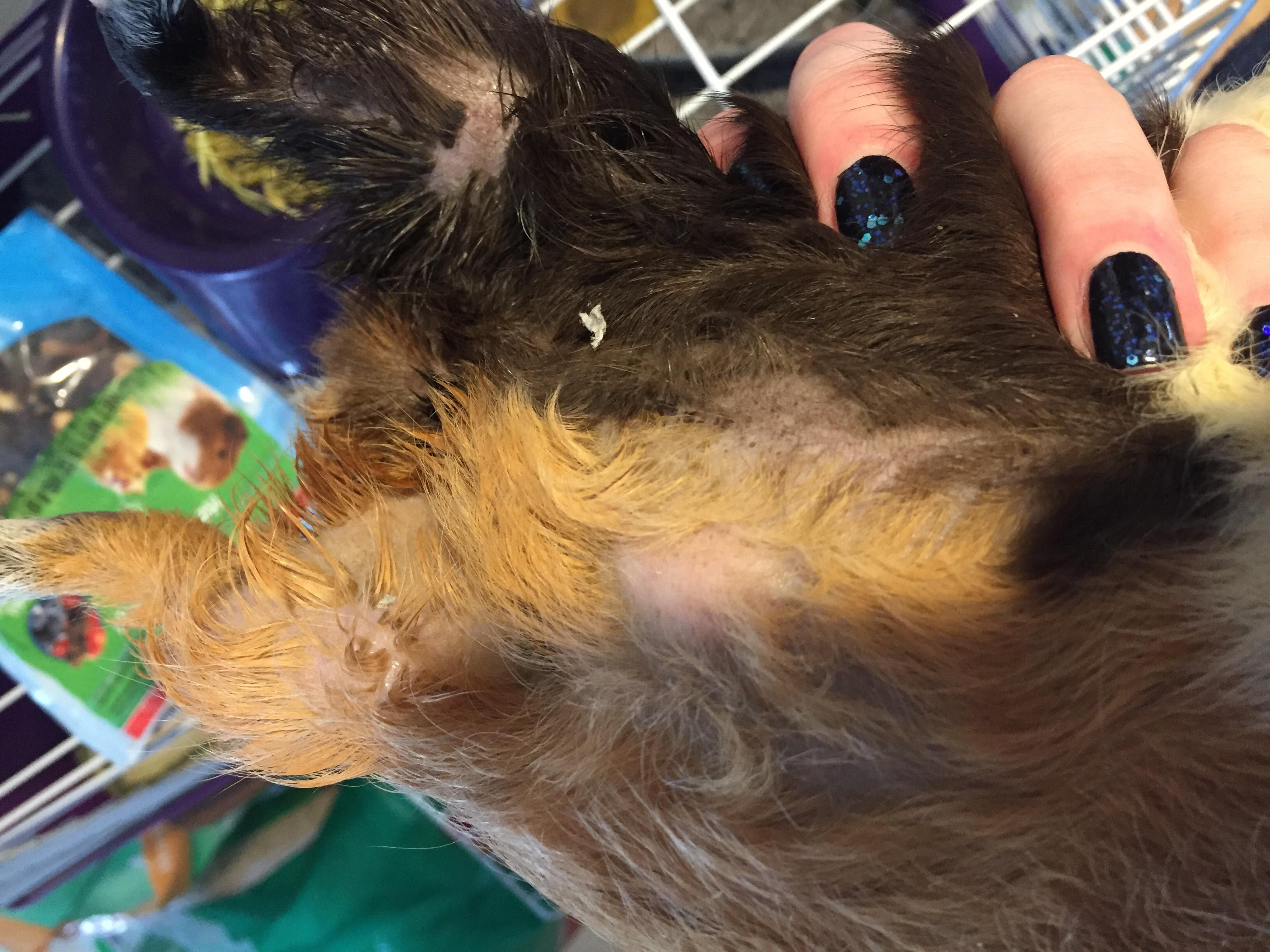 Question details sensitive content