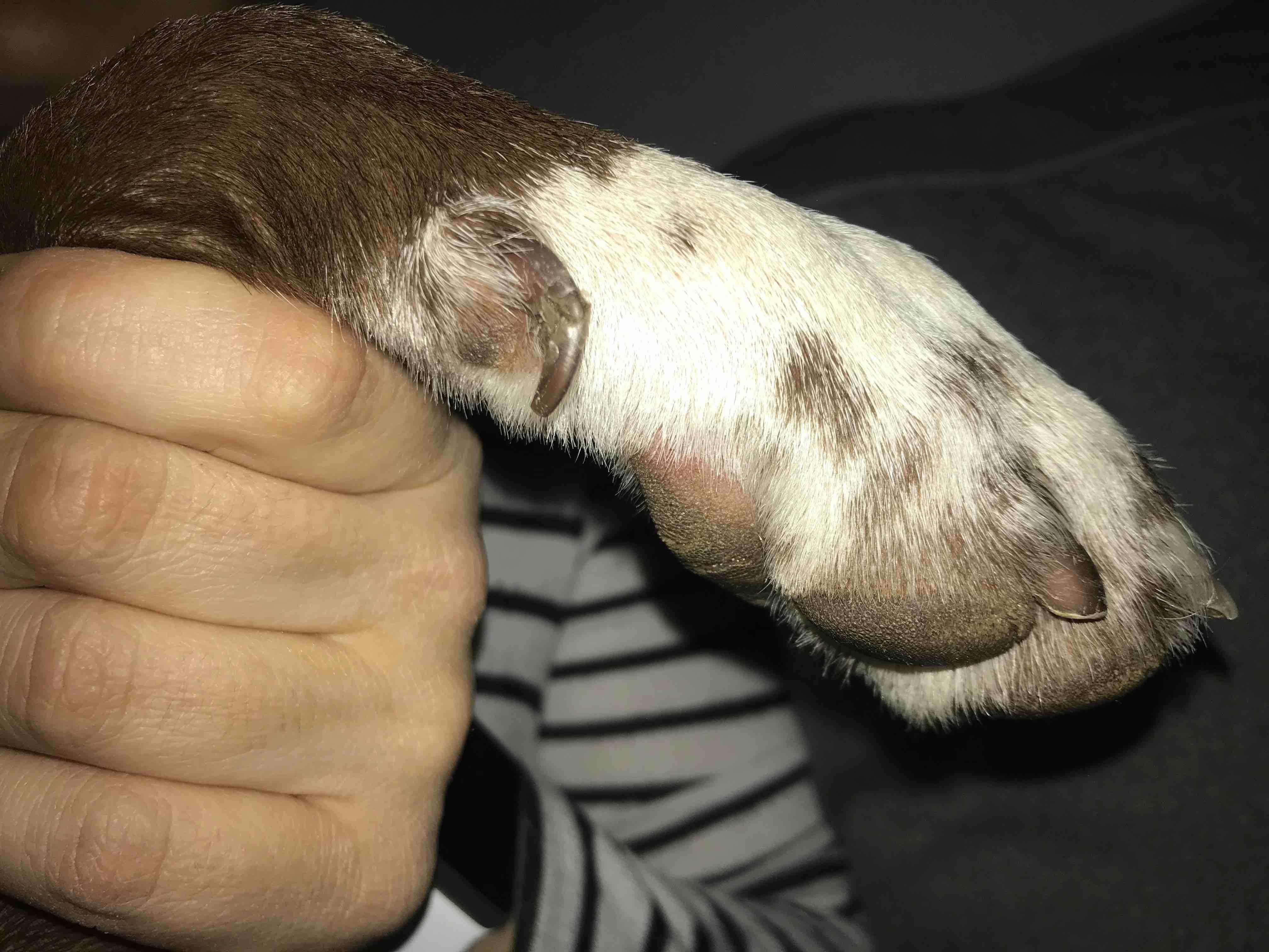 Question details sensitive content