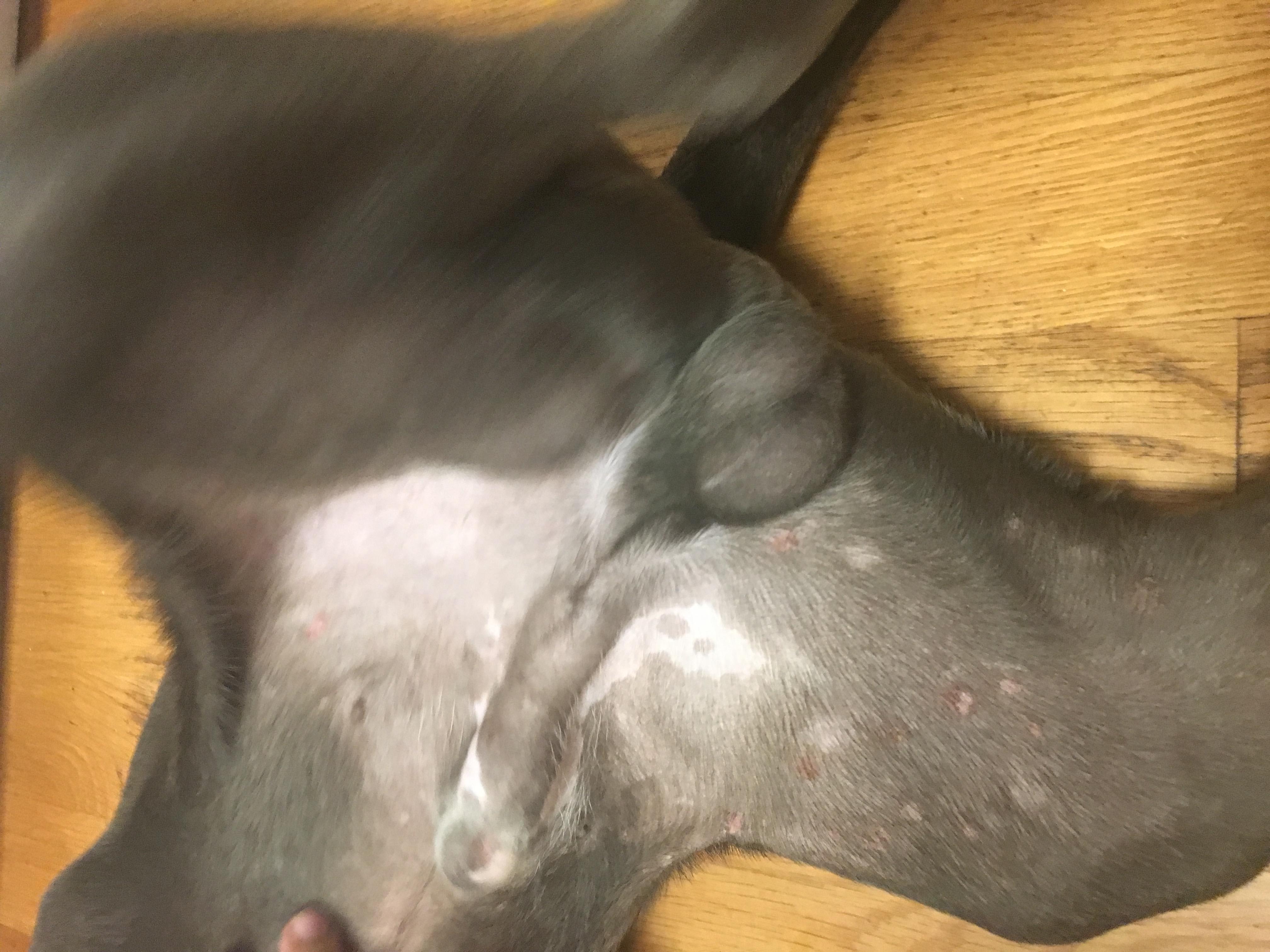 Question details sensitive content